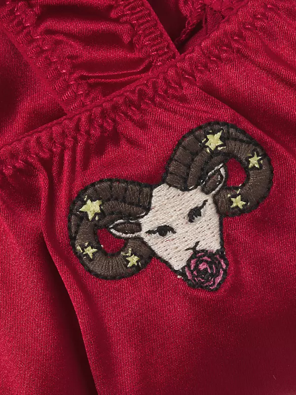 Zodiac Embroidery Thong