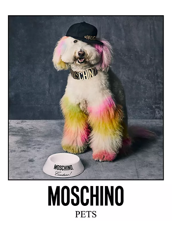 Shop Moschino Other Animal Patterns Cotton Logo Boxer Briefs by