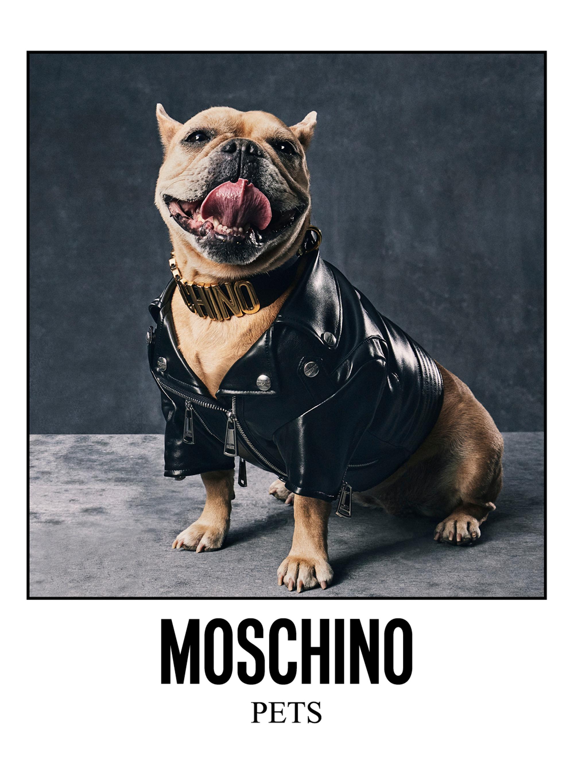 MOSCHINO レザージャケット Moschino（モスキーノ）メンズ レザージャケット - FARFETCH