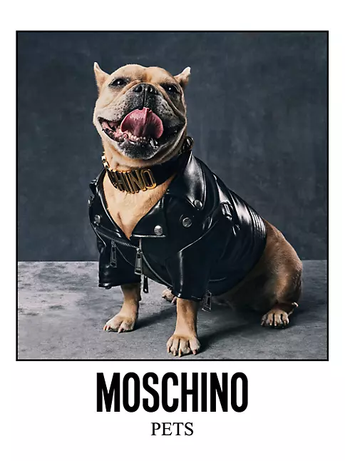 Shop Moschino Biker Faux Leather Dog Jacket | Saks Fifth Avenue