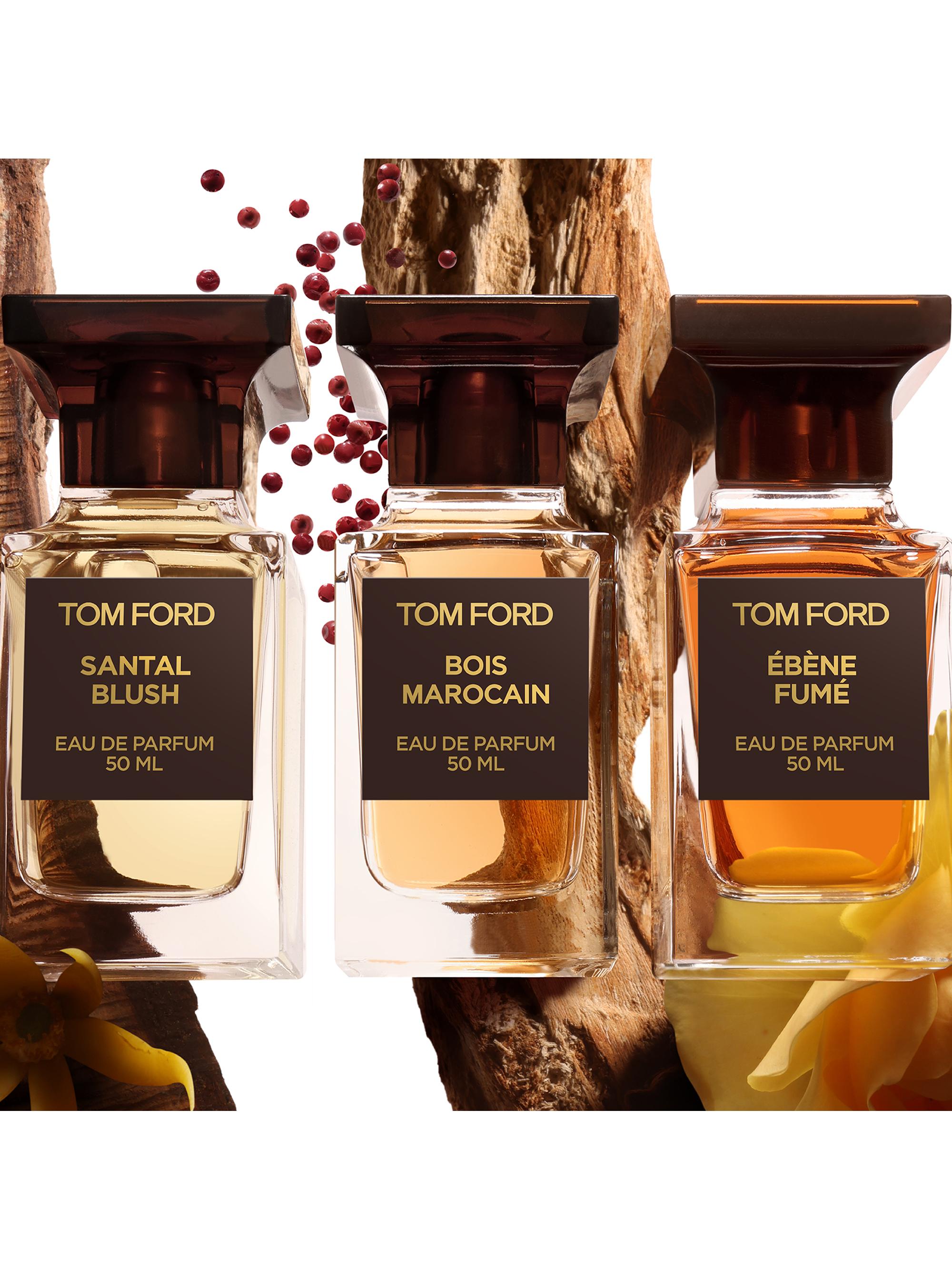 TOM FORD Ébène Fumé 50mL ebene fume Amazon.com : Tom Ford Ebene Fume for Men - 1.7 oz EDP Spray