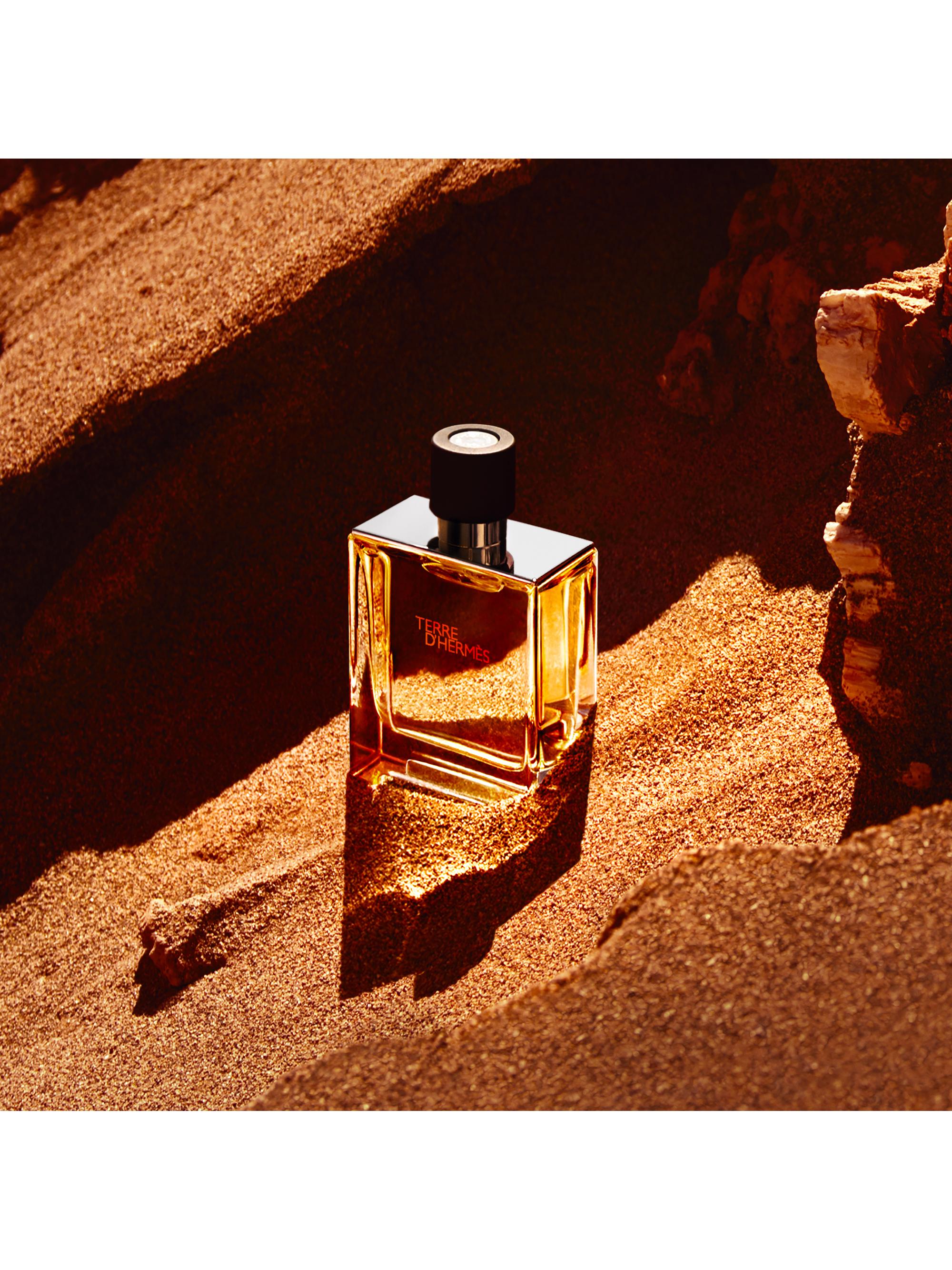 TERRE D'HERMÈS 最終価格です。 Amazon.com : Hermes Terre D' Hermes By Hermes For Men. Parfum