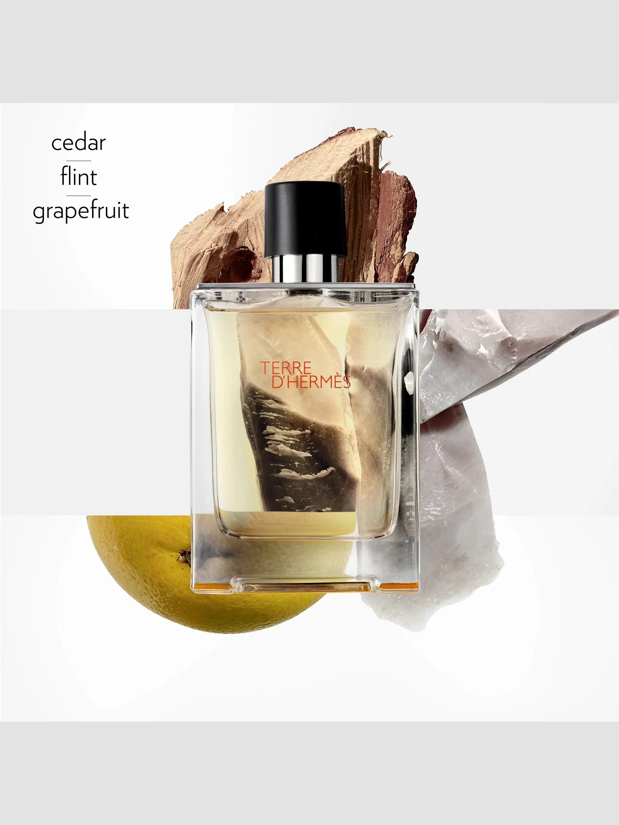 HERMÈS Terre d'Hermès Perfume | Saks Fifth Avenue