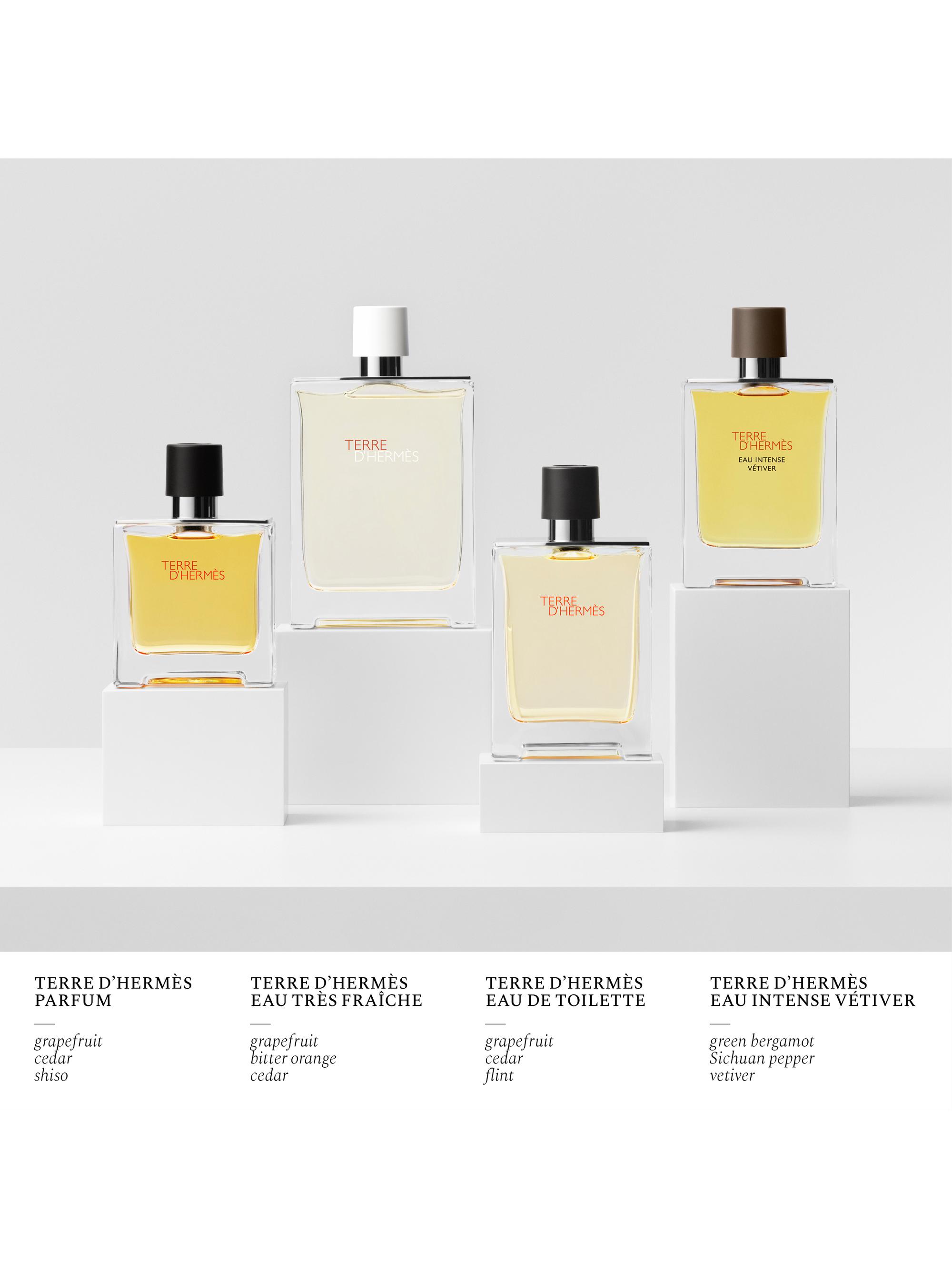 TERRE D'HERMES ユニセックス香水　100ml 美品 Terre d'Hermès 香水コレクション | Hermès - エルメス-公式サイト