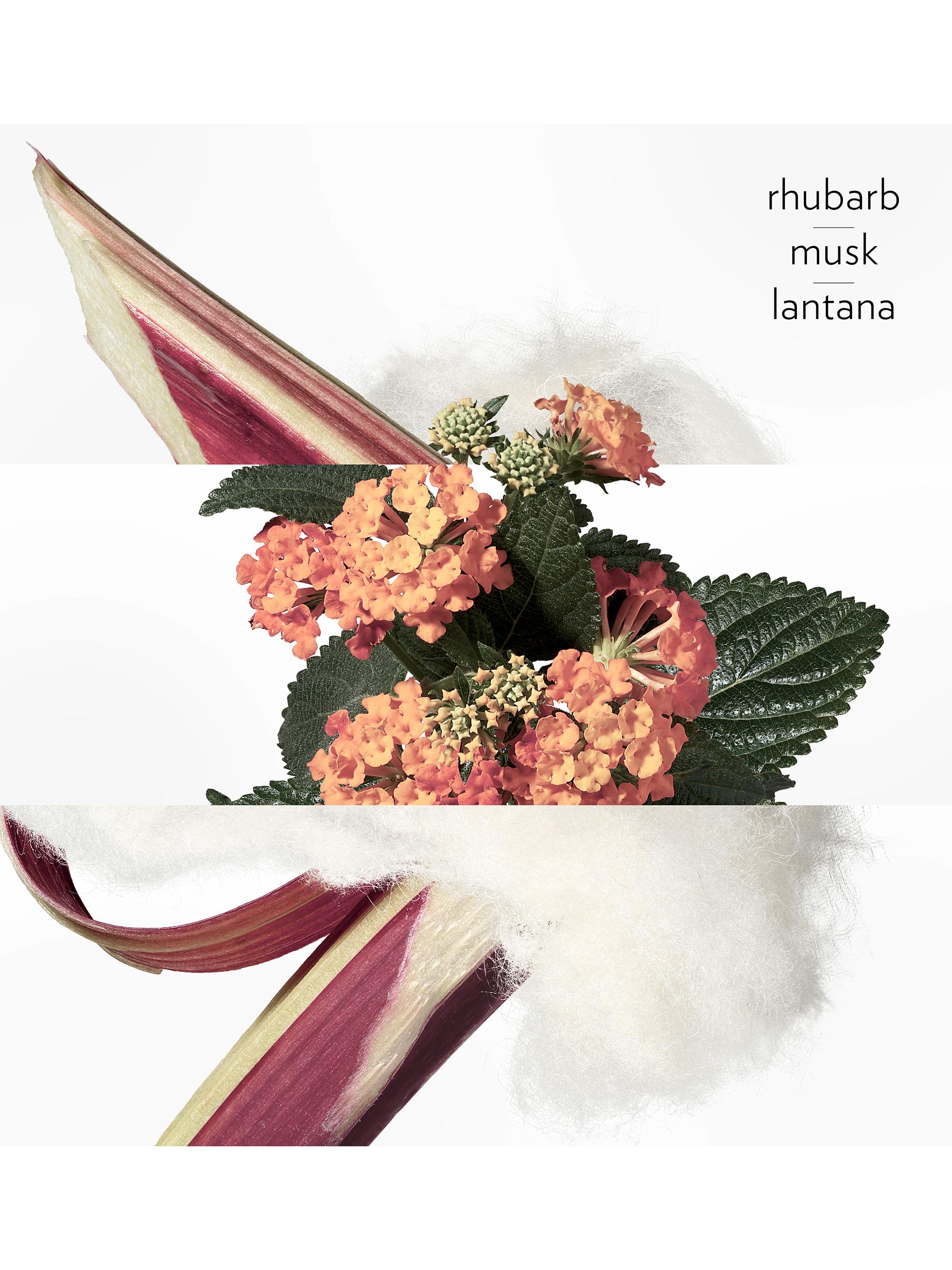 HERMES Eau de rhubarbe éclarate 香水　100ml Eau de rhubarbe ecarlate Eau de cologne - 100 ml | Hermès