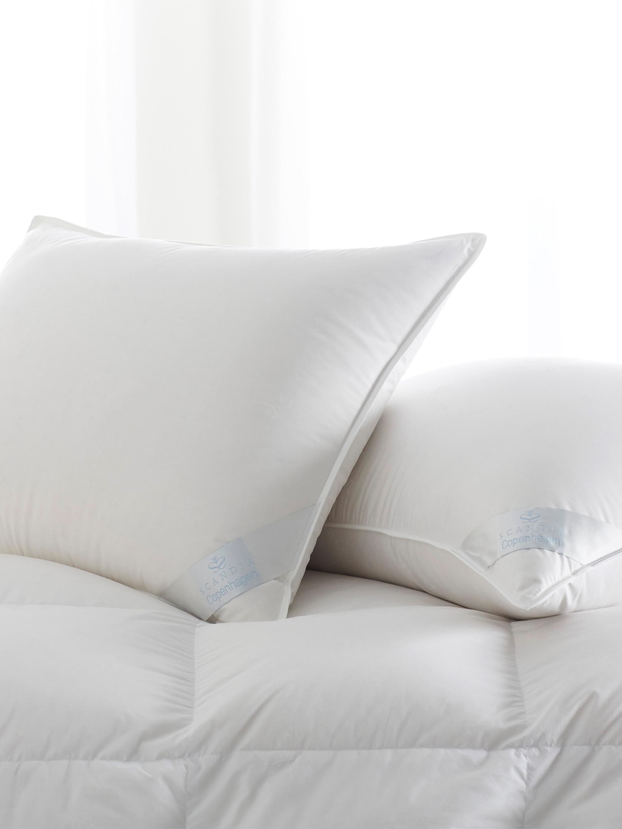 Scandia Home Copenhagen Soft Down Pillow - White Standard