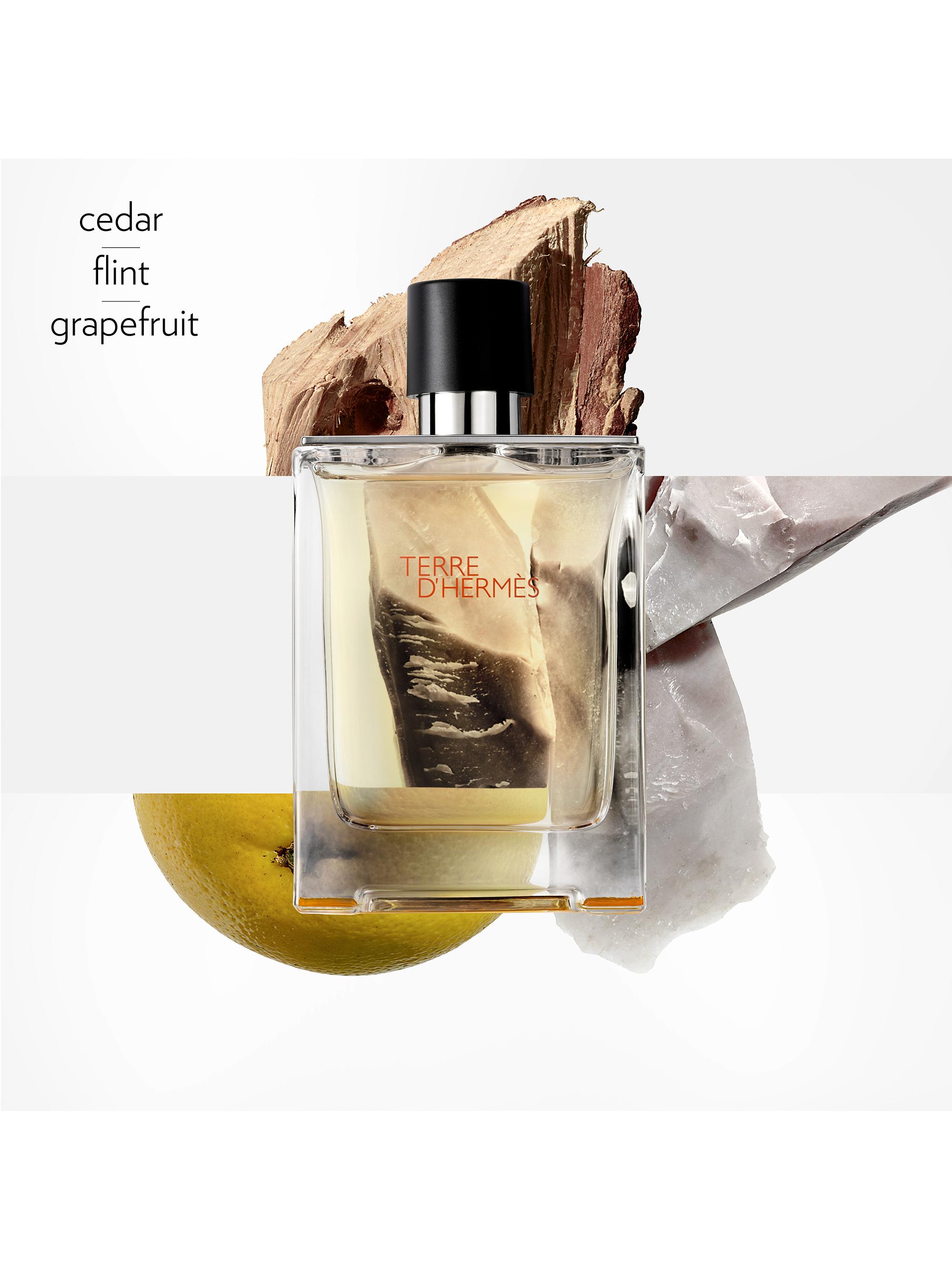 HERMÈS Terre d'Hermes Eau de Toilette | Saks Fifth Avenue