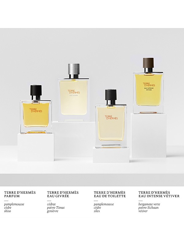 HERMÈS Terre d'Hermès Eau de Toilette | Saks Fifth Avenue HERMÈS Terre d'Hermès Eau de Toilette | Saks Fifth Avenue