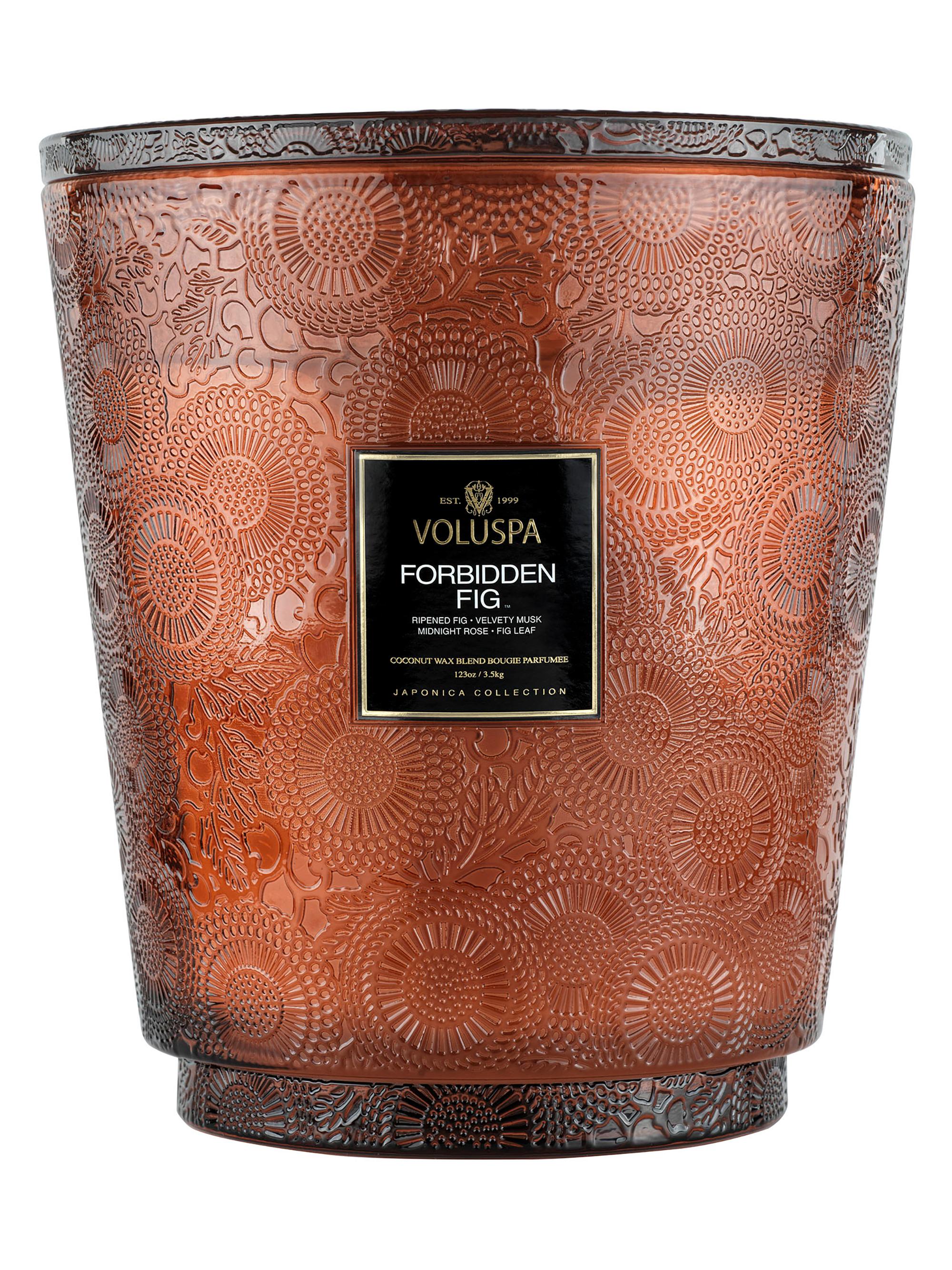 Voluspa Forbidden Fig 5-Wick Hearth Candle