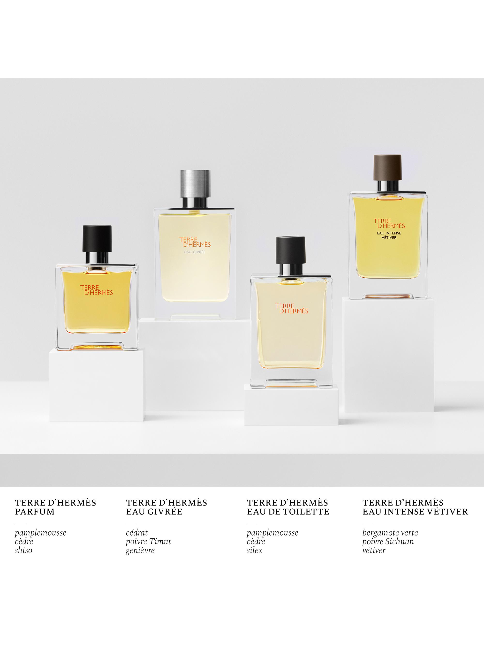 vetiver tonka hermes price