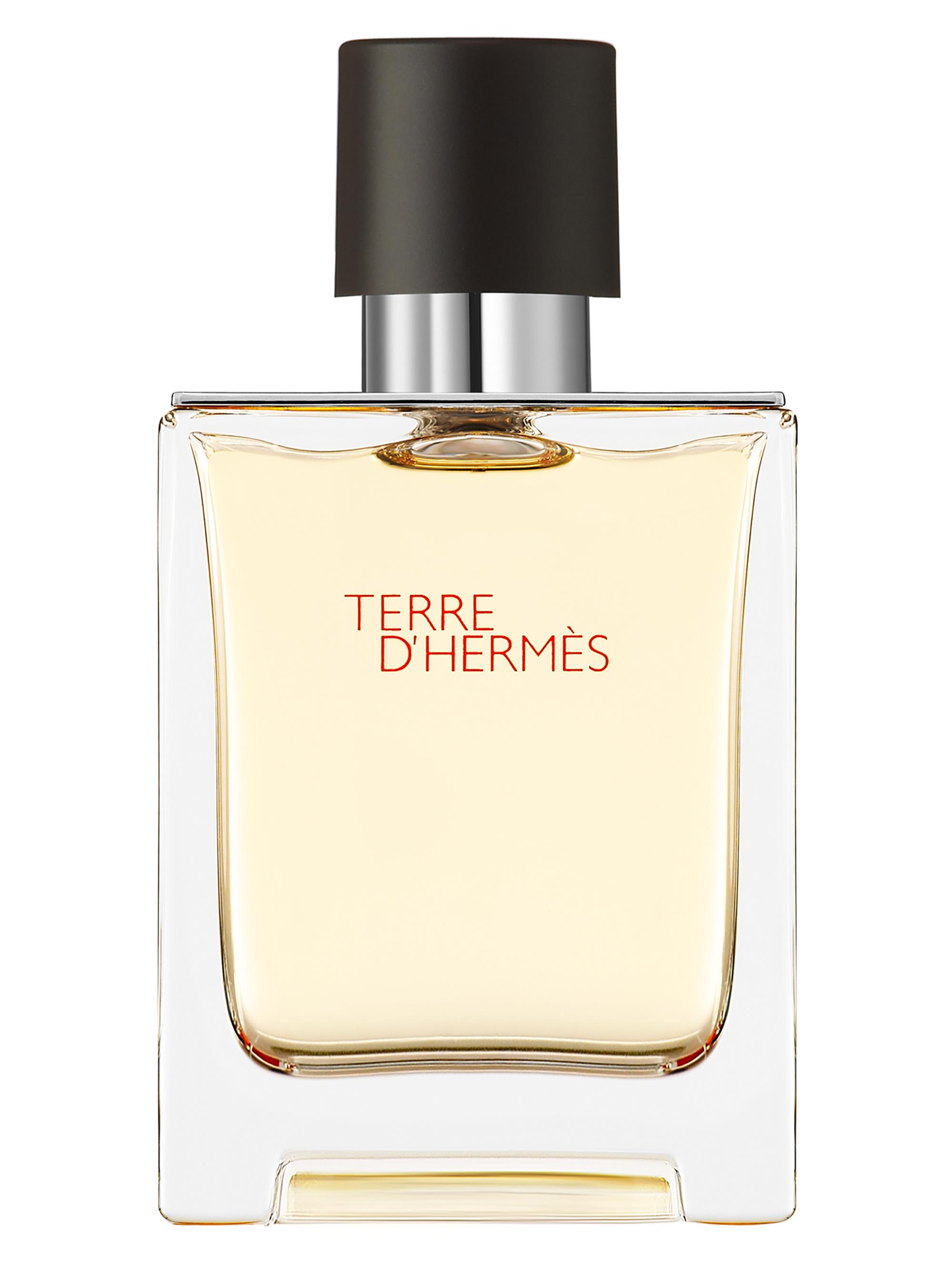 HERMÈS Terre d'Hermès Eau de Toilette | Saks Fifth Avenue