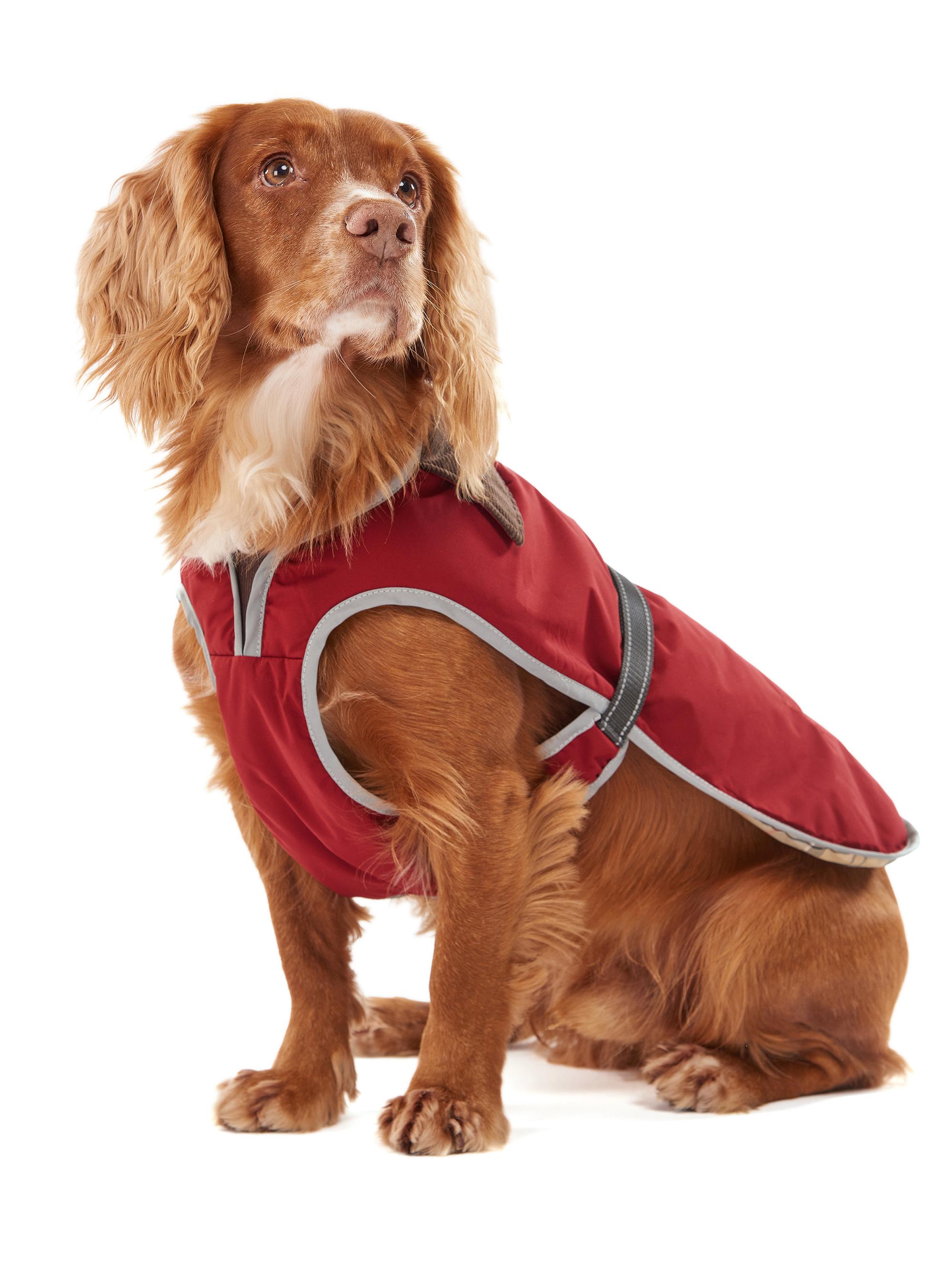 Barbour Monmouth Waterproof Dog Coat | Saks Fifth Avenue
