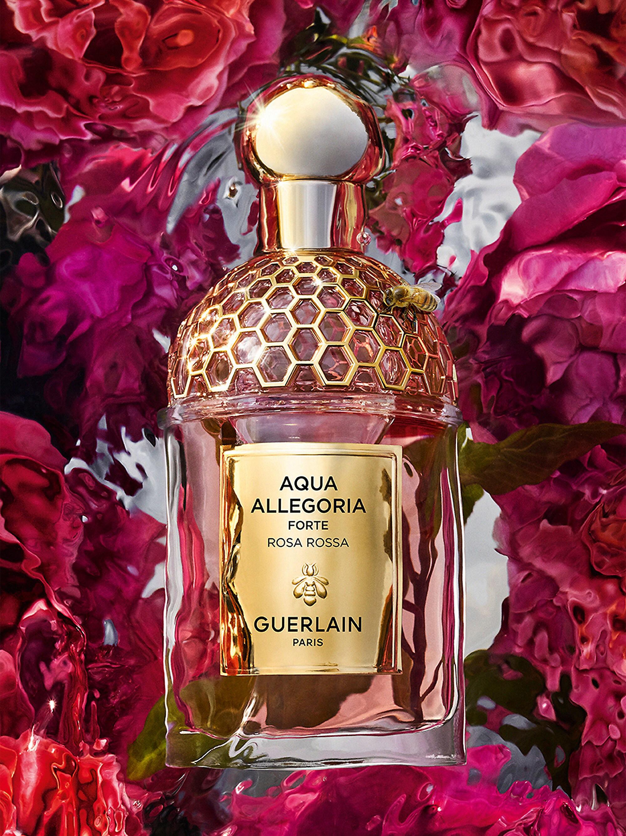 GUERLAIN Aqua Allegoria Forte Rosa Rossa Eau De Parfum | Saks