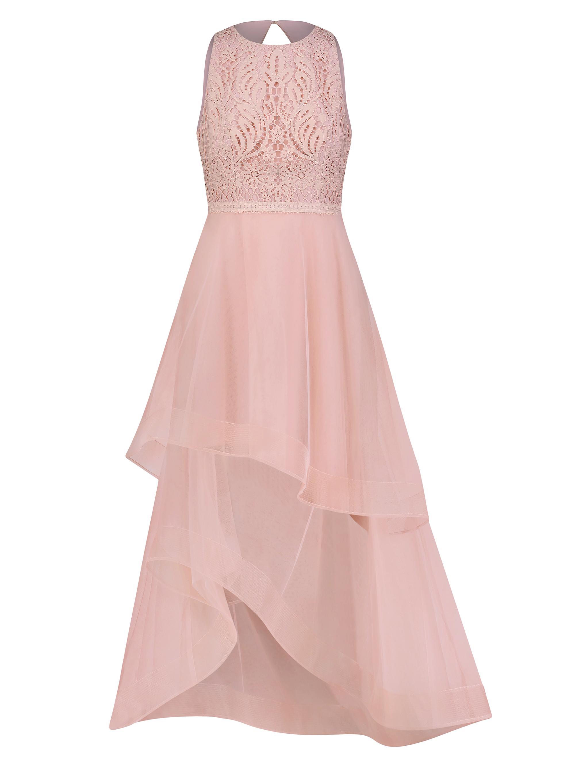 Lace Bcbg Tulle Gown Pink Bcbg Gowns On Sale BCBGMaxazria Almond