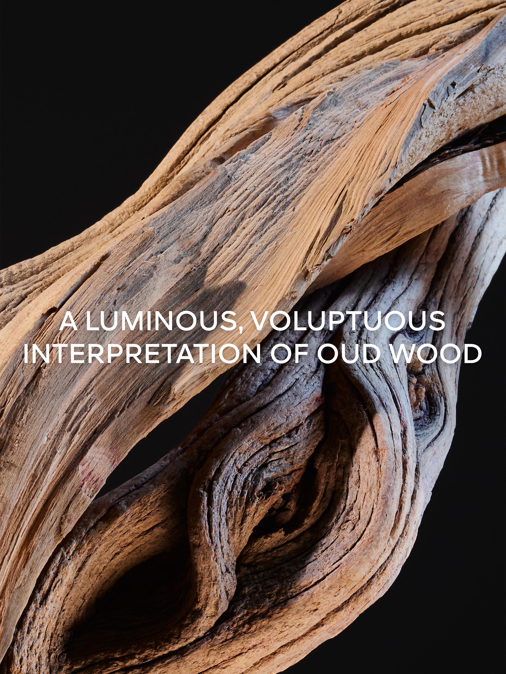 GUERLAIN L'Art & La Matiere Oud Nude Eau de Parfum 6.8 oz - side view in Na