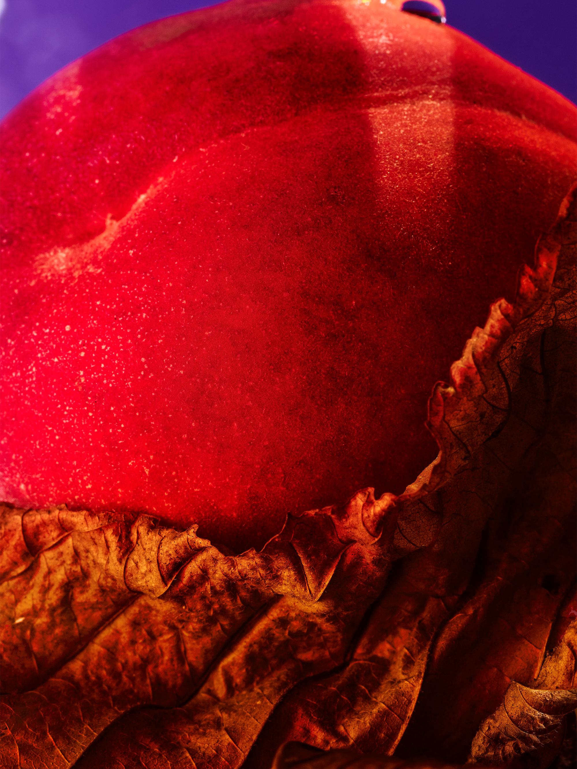 BVLGARI Allegra Fantasia Veneta Eau de Parfum | Saks Fifth Avenue