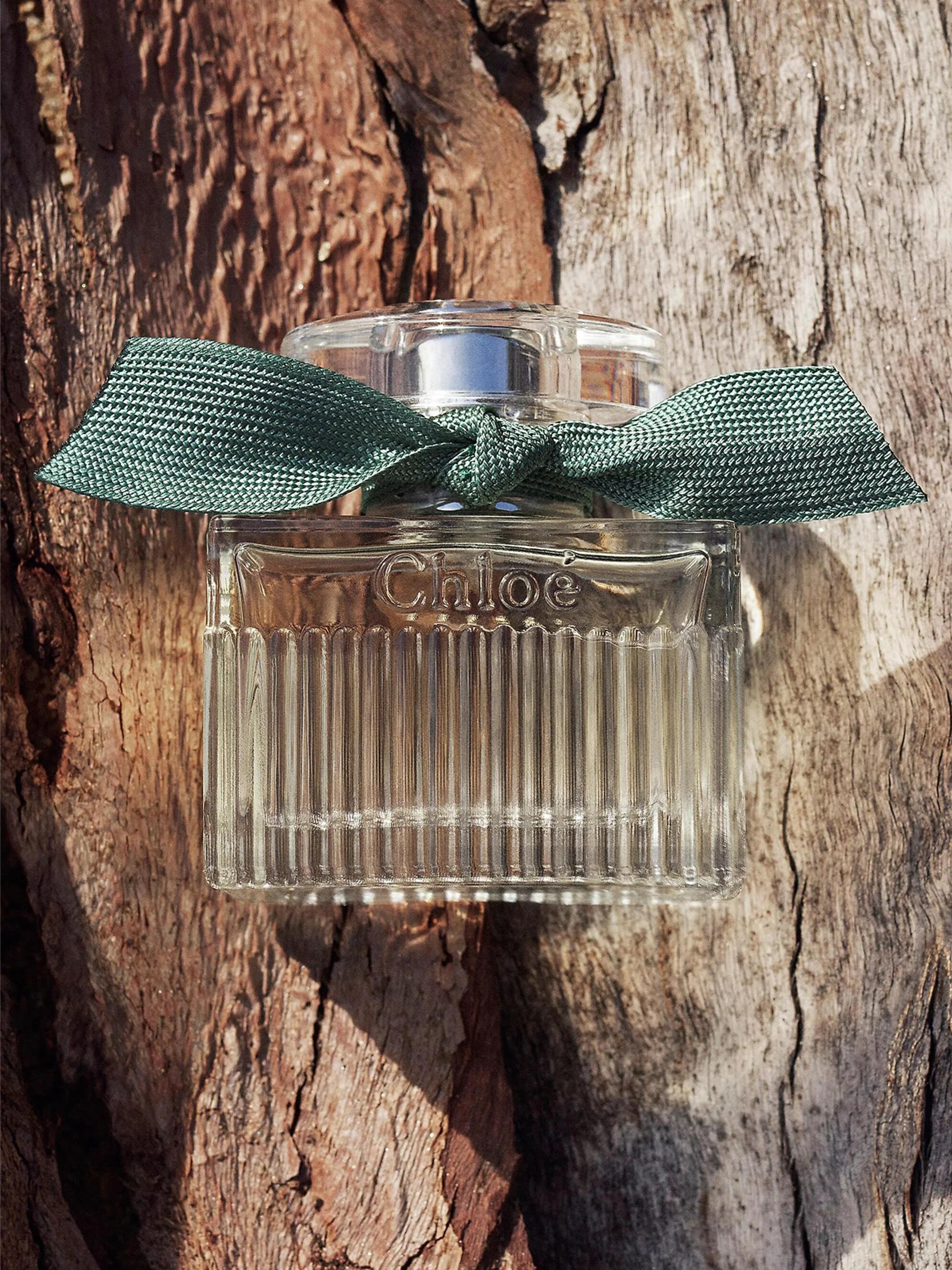 Chloé Chloé Rose Naturelle Intense Eau de Parfum | Saks Fifth Avenue