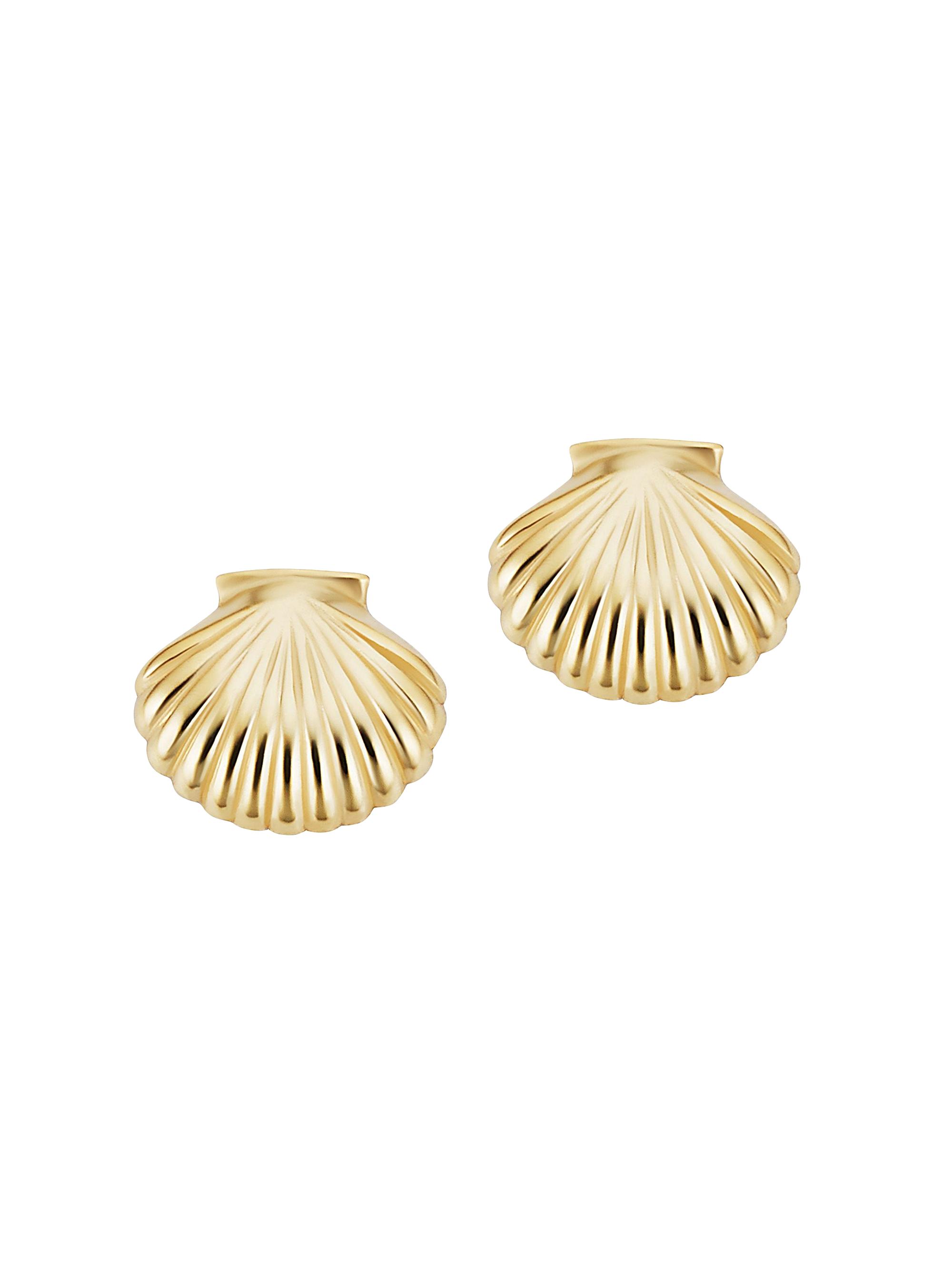Oradina Women's 14K Yellow Gold Seashell Studs - Yellow Gold