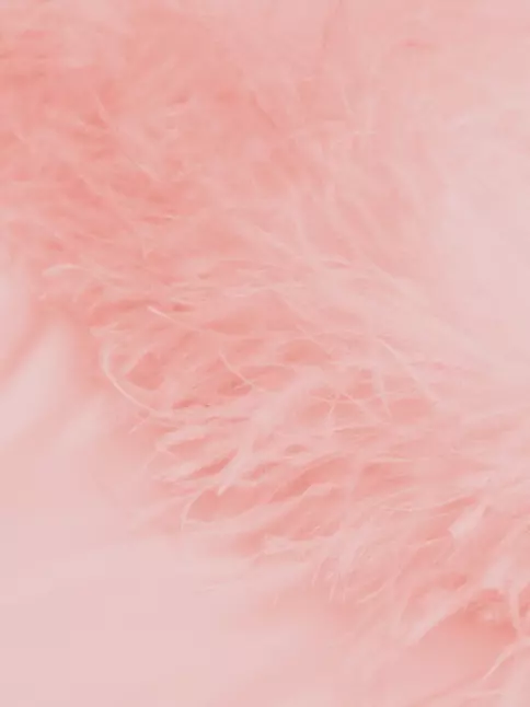 Sleeper Boheme Feather-trimmed Top | Showroom Xs / Pink
