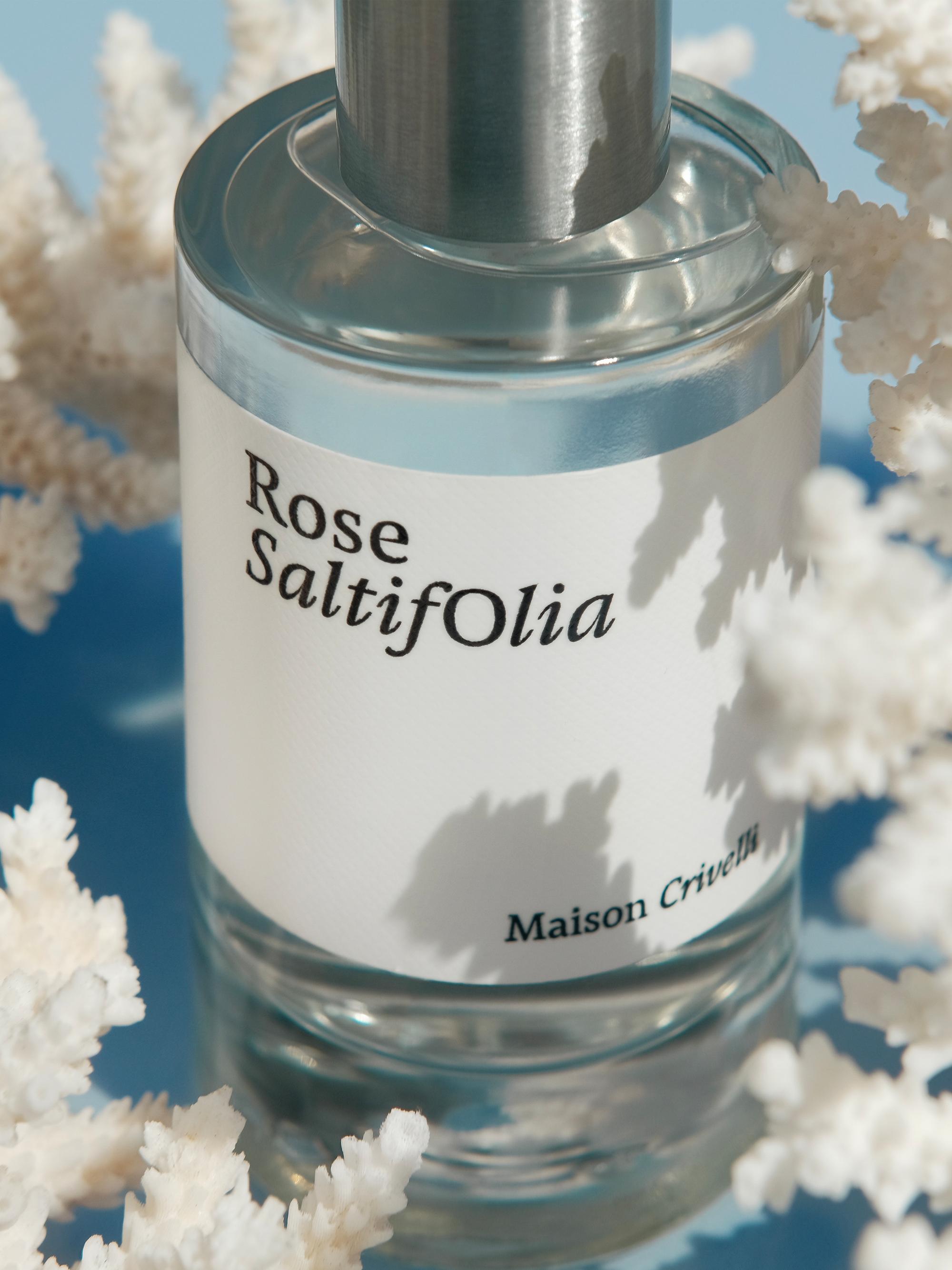Maison Crivelli Rose Saltifolia Eau De Parfum | Saks Fifth