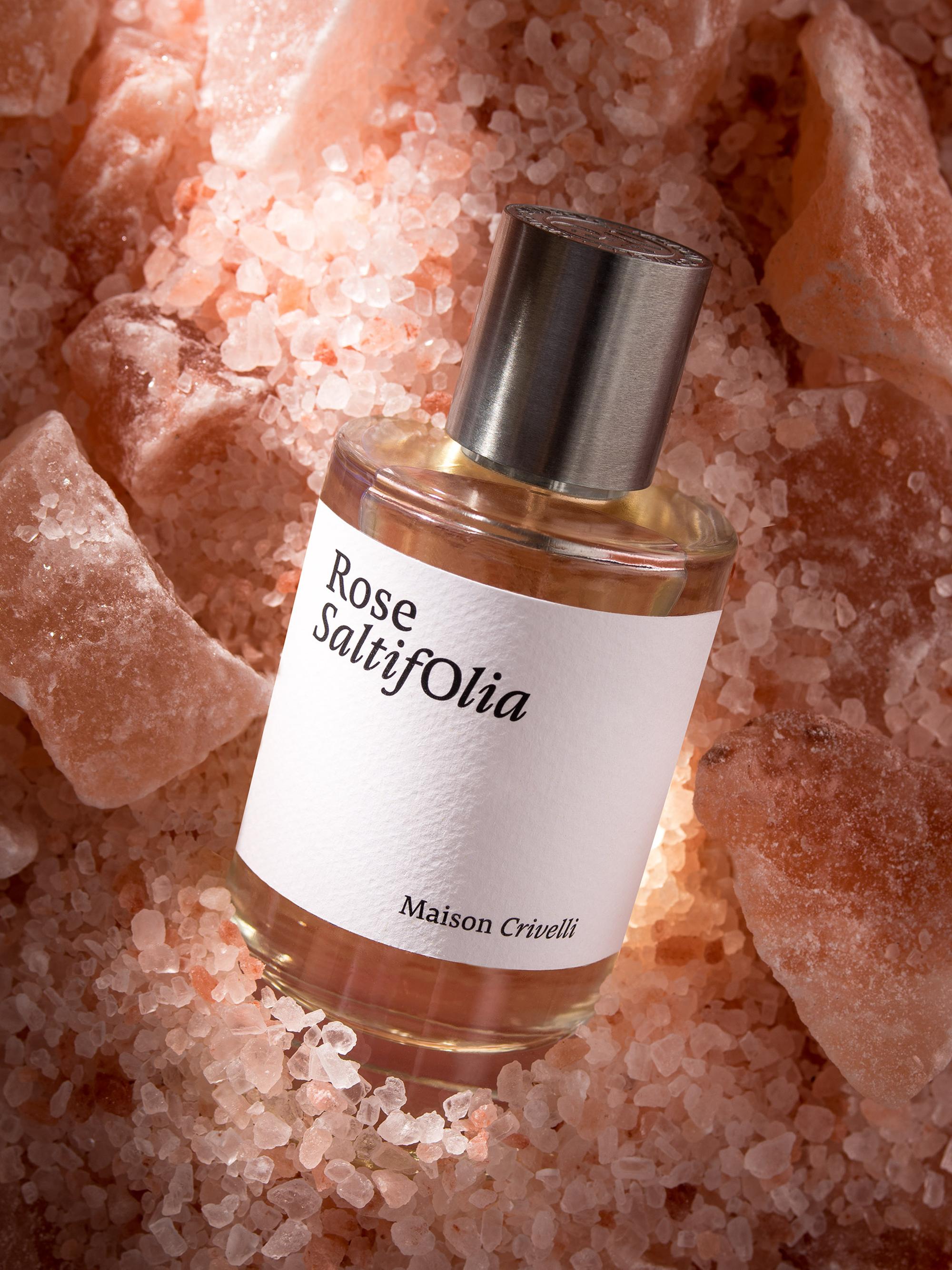 Maison Crivelli（メゾンクリヴェリ）Rose Saltifolia Rose Saltifolia - Maison Crivelli | Official online store