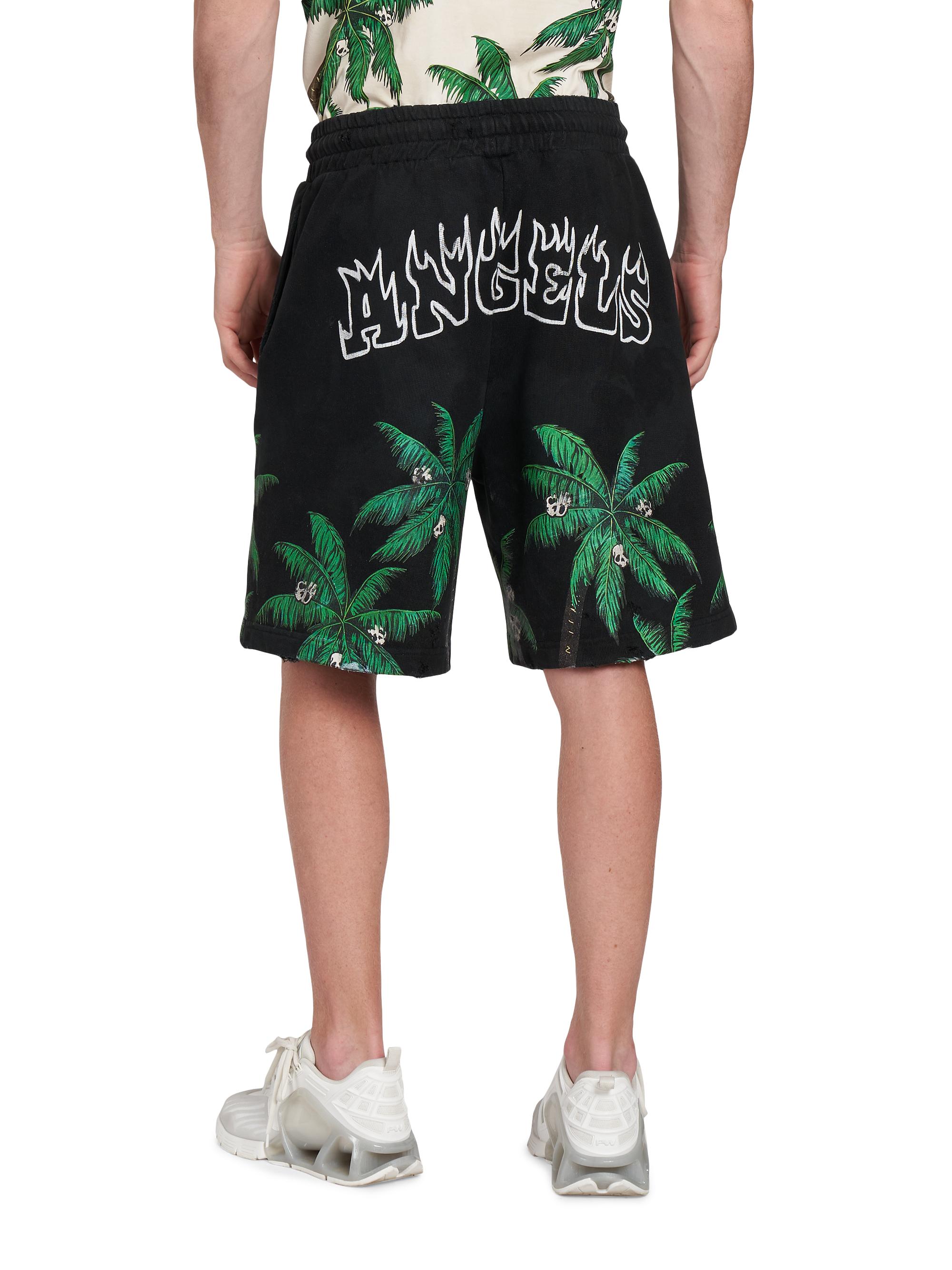 palms 20〜60g19本 palms 20〜60g19本 palms 20〜60g19本 palms 20〜60g19本