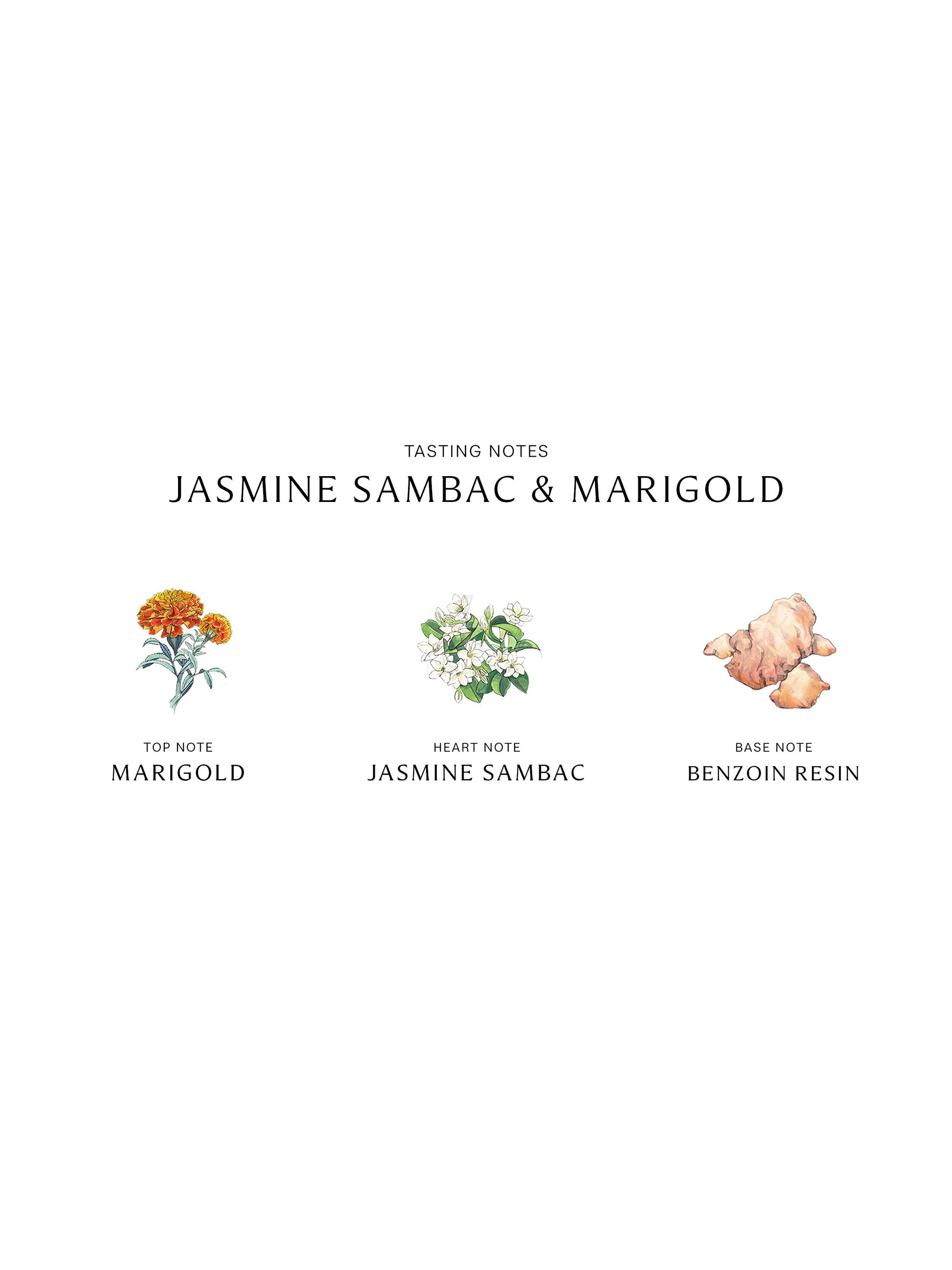 Jo Malone London Jasmine Sambac & Marigold Cologne Intense | Saks