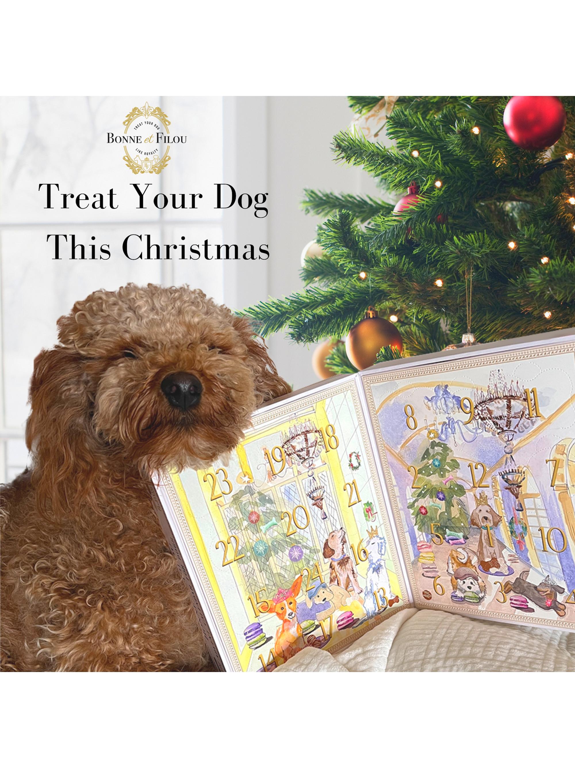 Shop Bonne et Filou Advent Calendar for Dogs | Saks Fifth Avenue