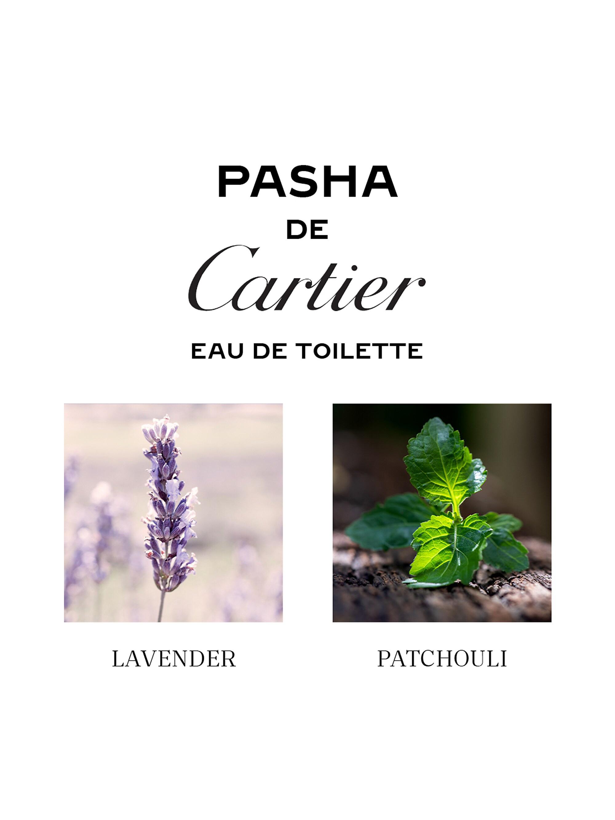 Cartier Pasha de Cartier Eau de Toilette | Saks Fifth Avenue