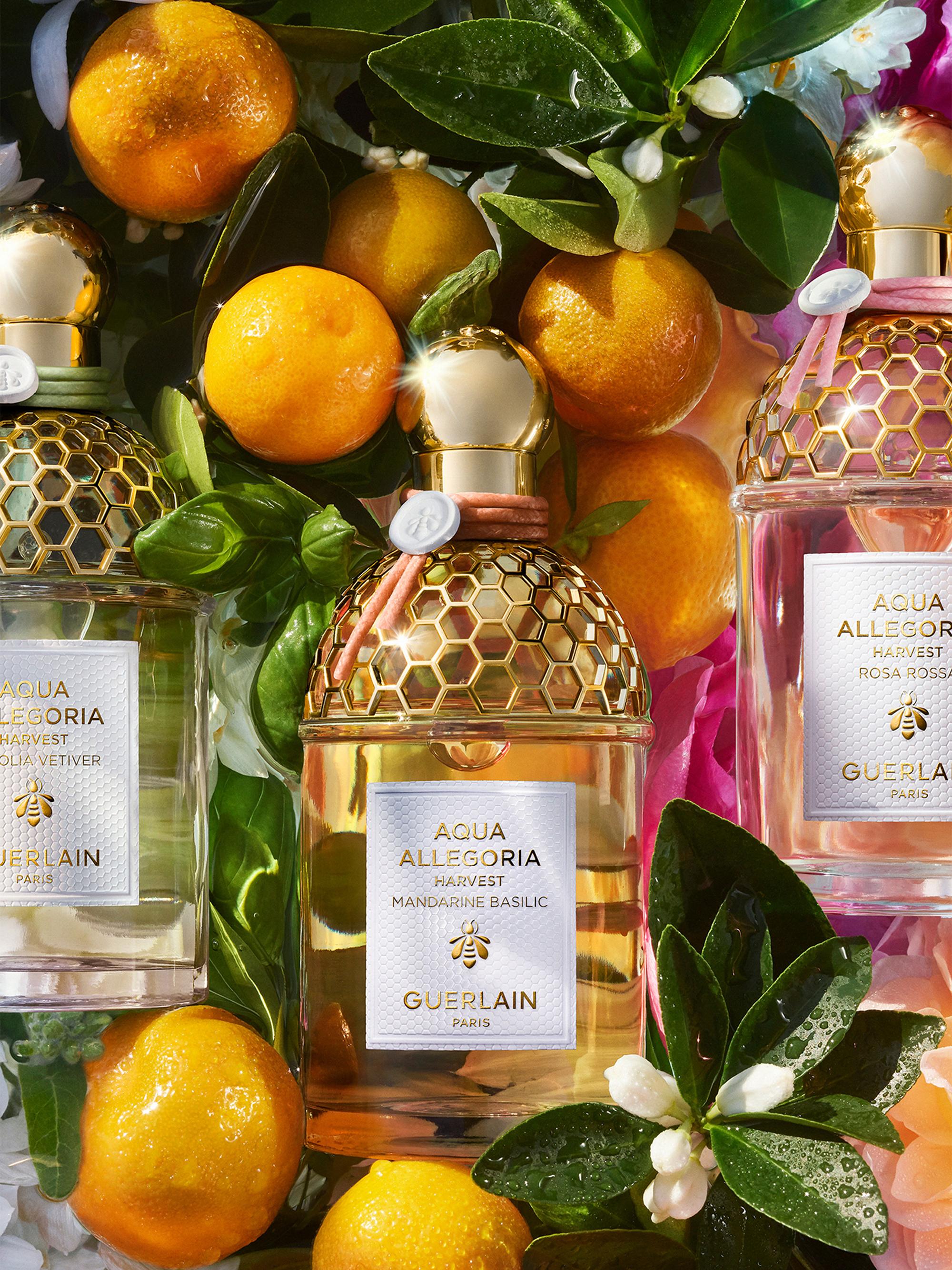 GUERLAIN Aqua Allegoria Harvest Nerolia Vetiver Eau de Toilette