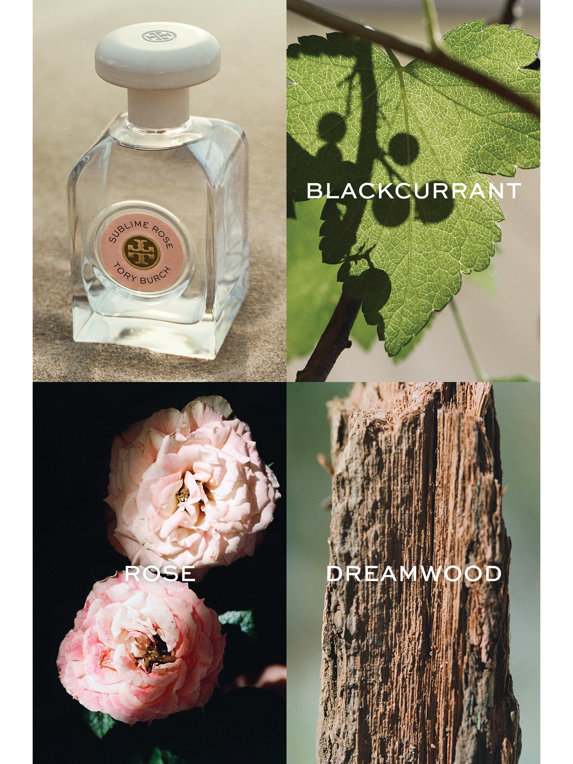 Tory Burch Sublime Rose トリーバーチ　サブライム ローズ Sublime Rose Eau de Parfum 90ml: Women's Designer Perfume | Tory Burch