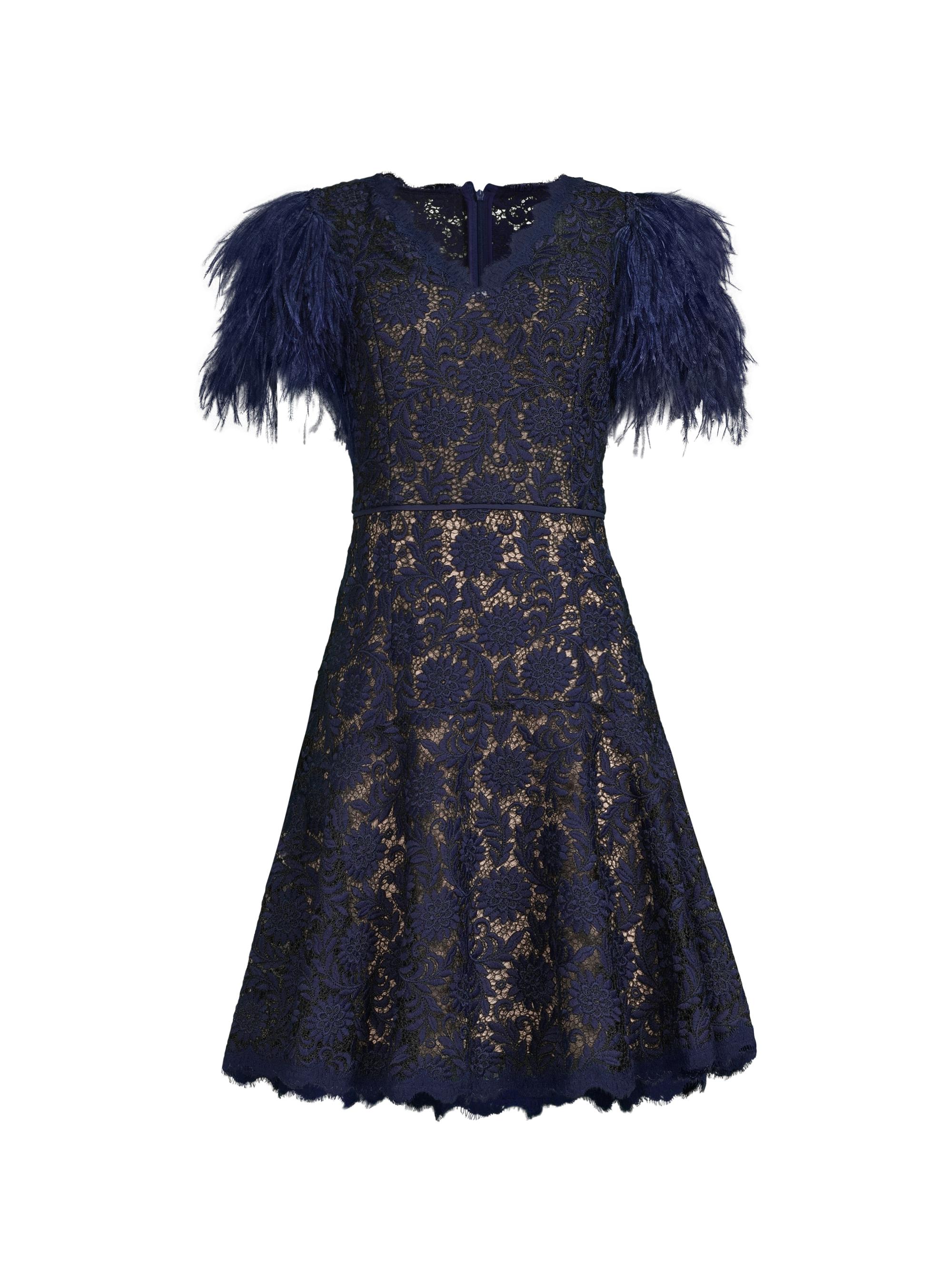 Shani Women's Feathers Lace Minidress - Navy Beige