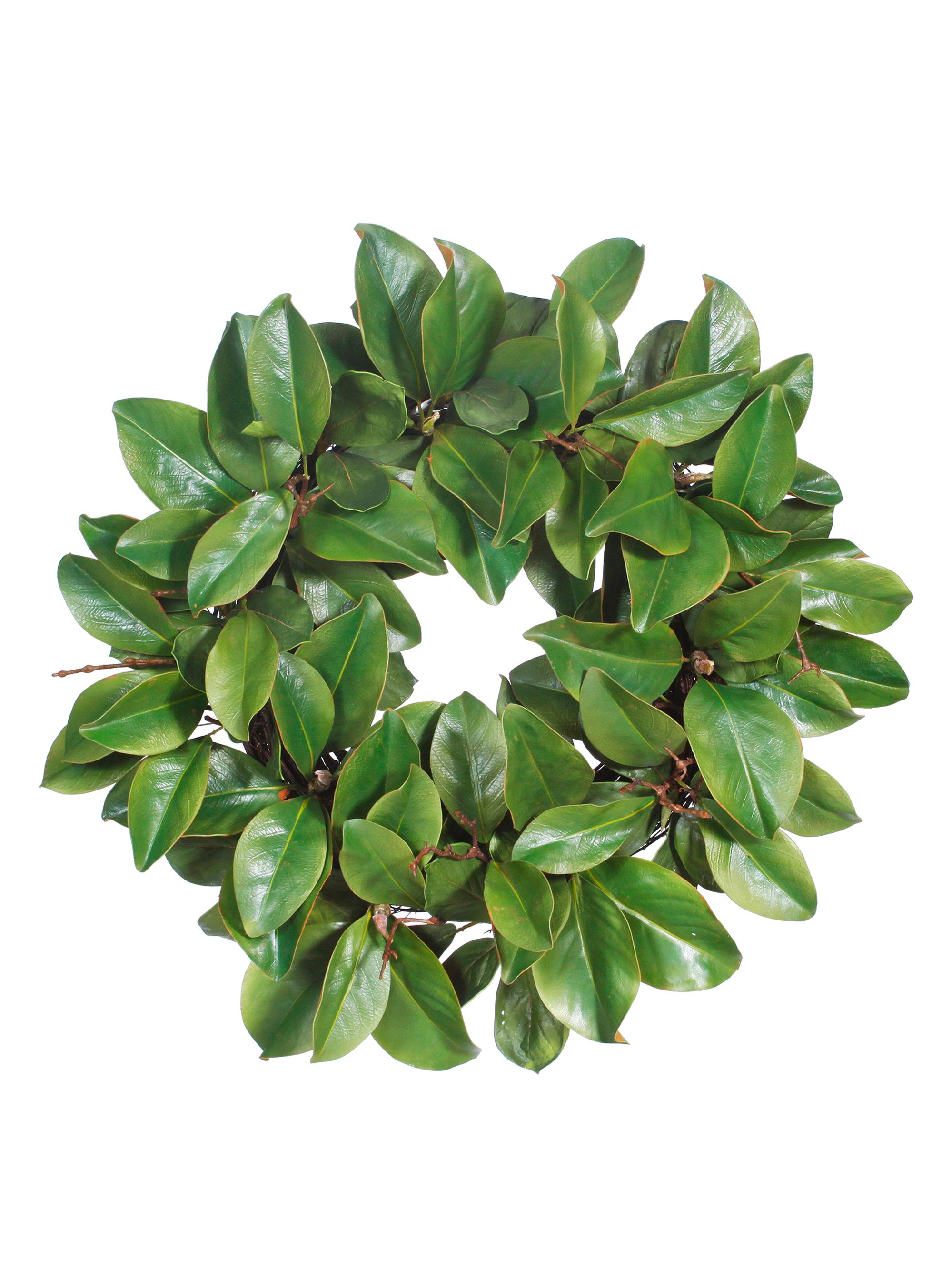 Winward Home Faux Magnolia Leaf Twig Wreath - Green