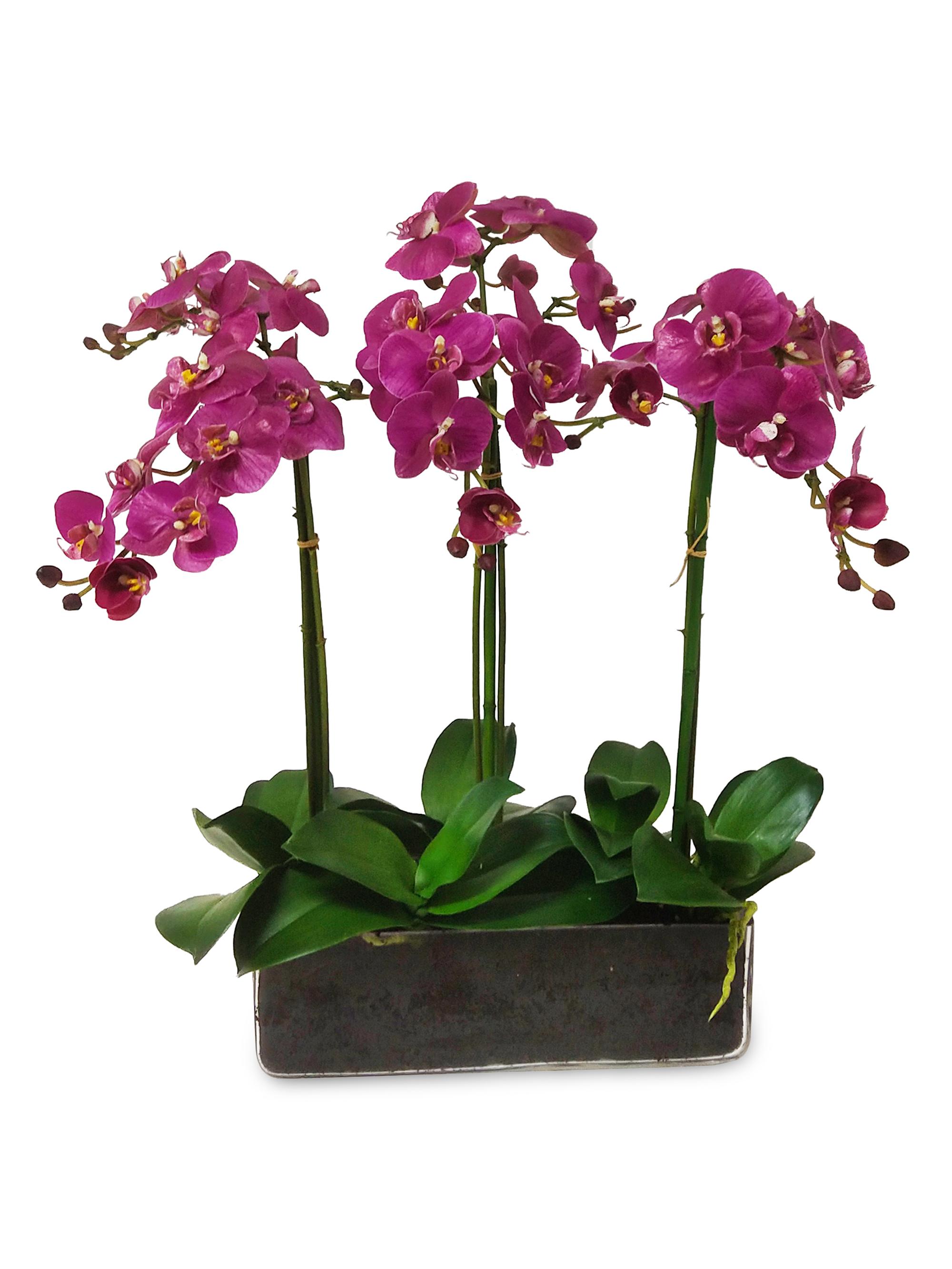 Winward Home Faux Orchid Phalaenopsis Floral Arrangement - Fuchsia