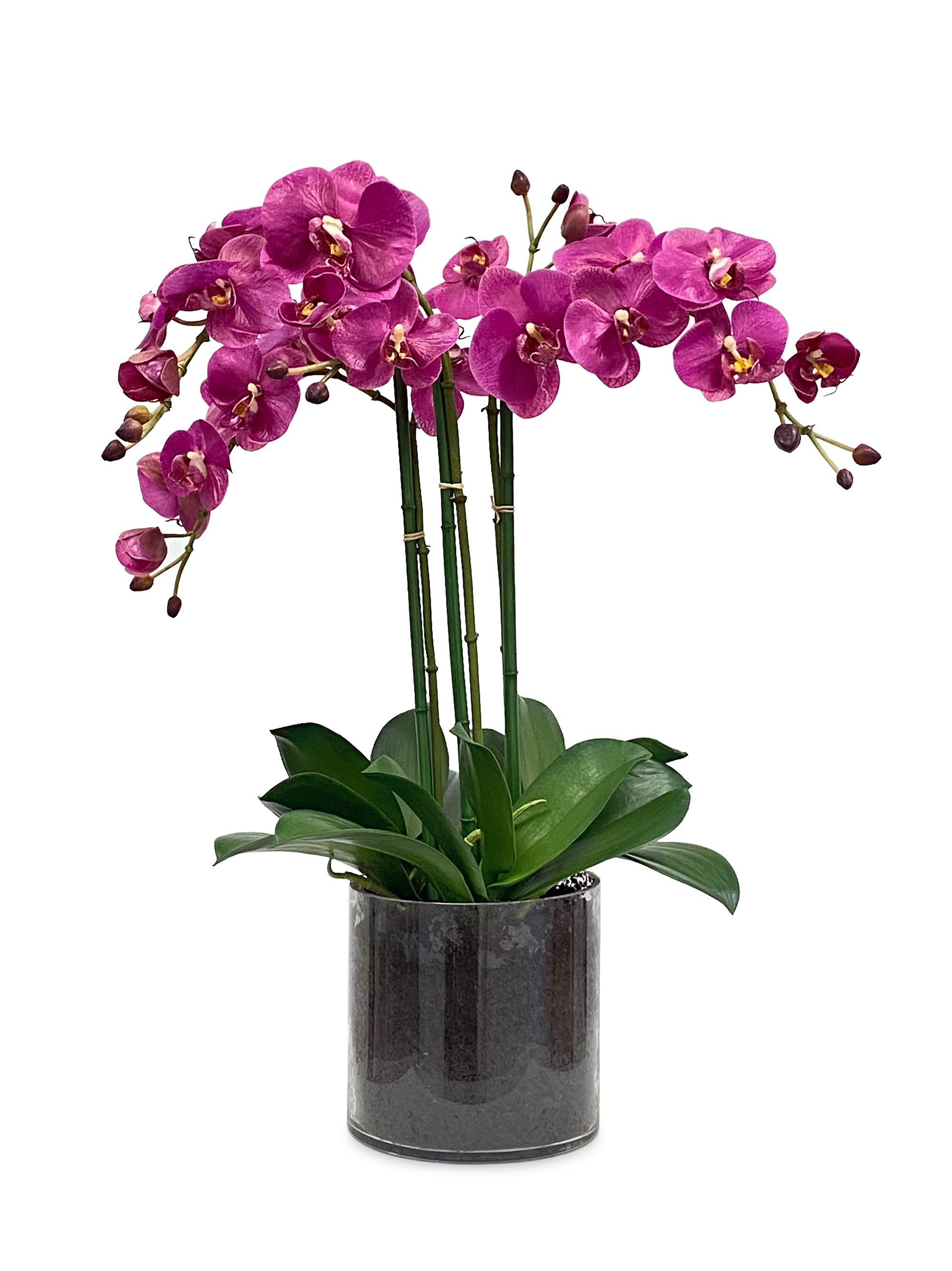 Winward Home Faux Floral Orchid Phalaenopsis in Glass Vase - Fuchsia