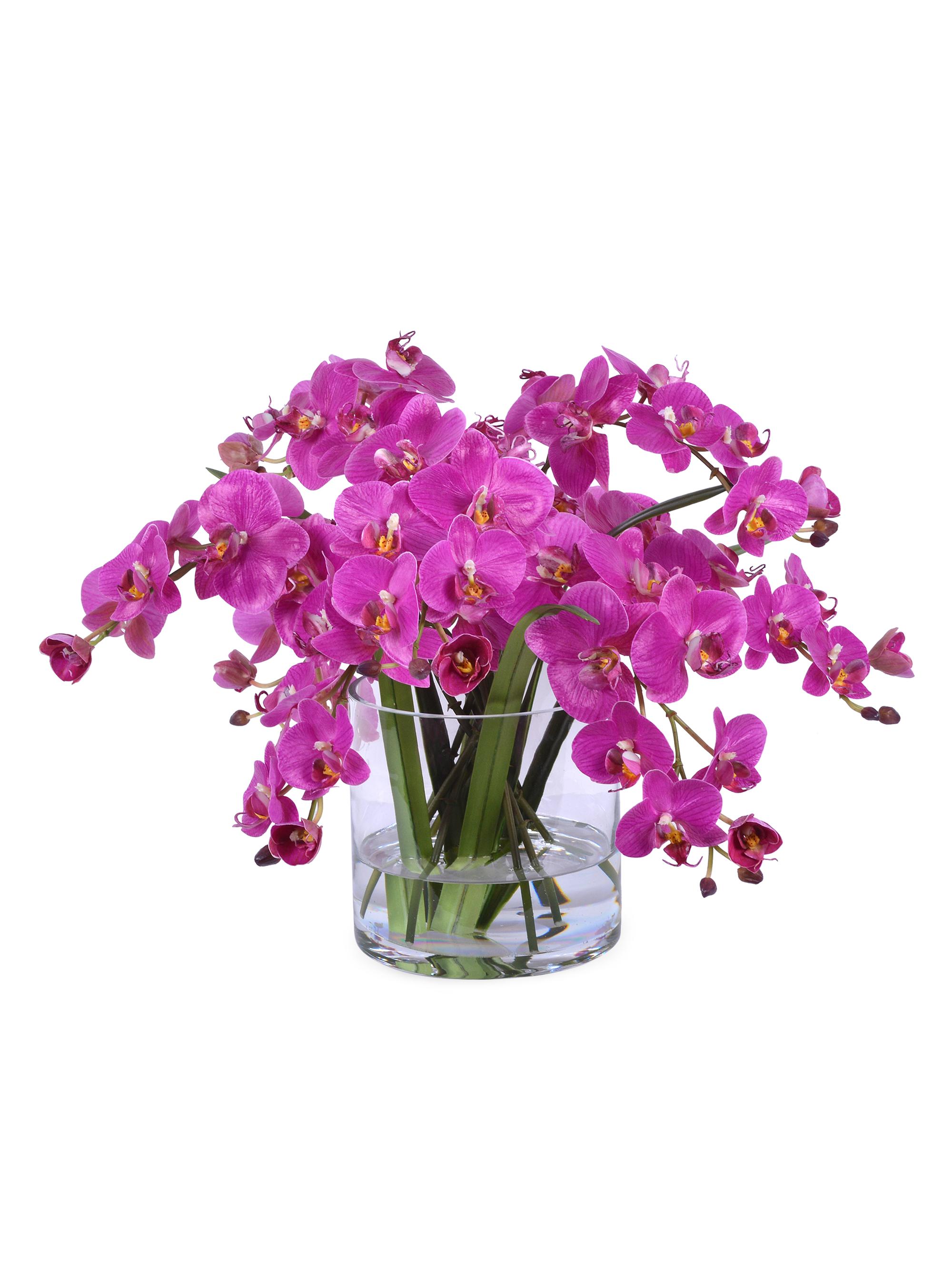 Winward Home Faux Orchid Phalaenopsis Floral Arrangement - Fuchsia