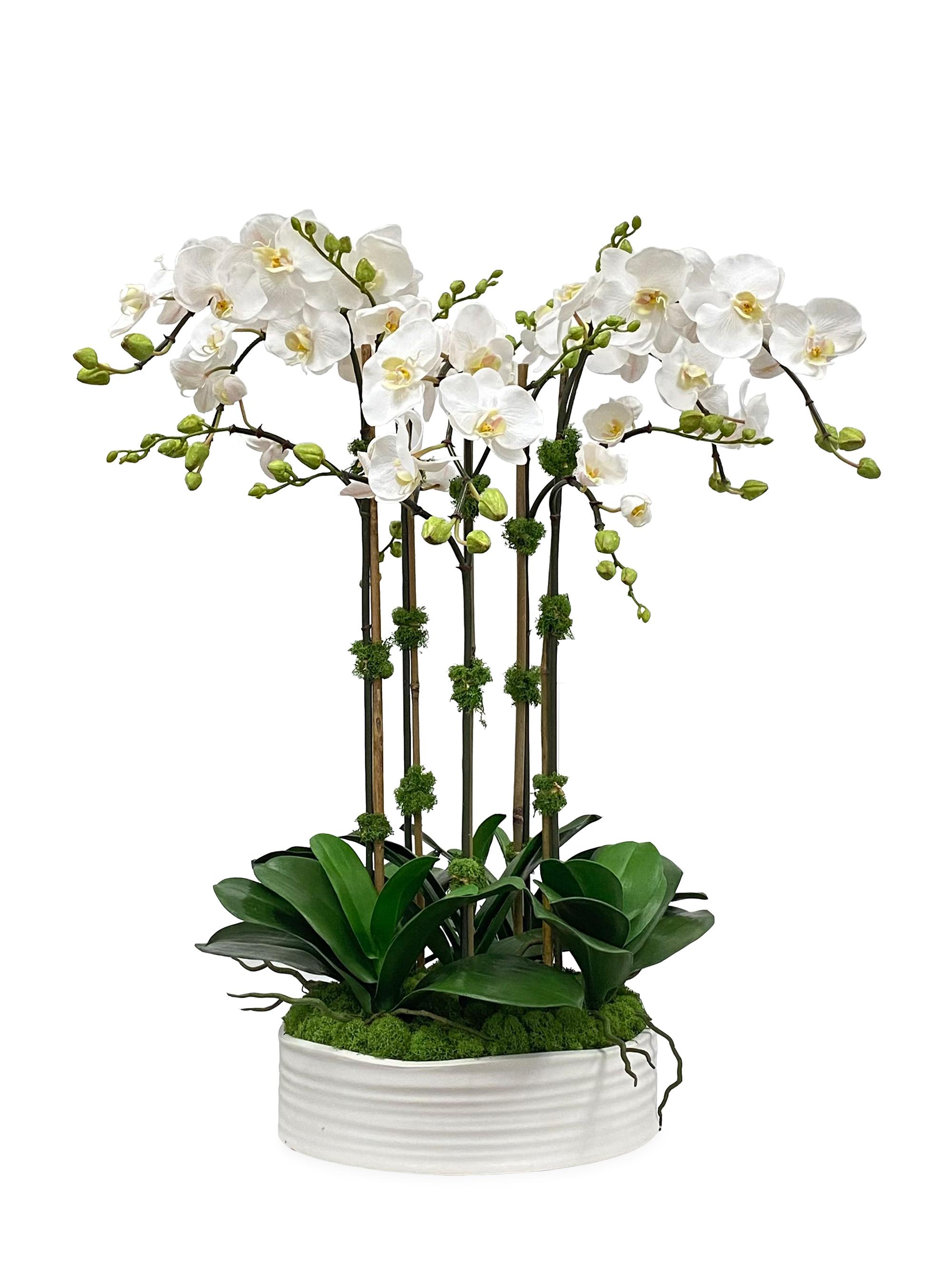 Winward Home Faux Phalaenopsis Floral Arrangement - White