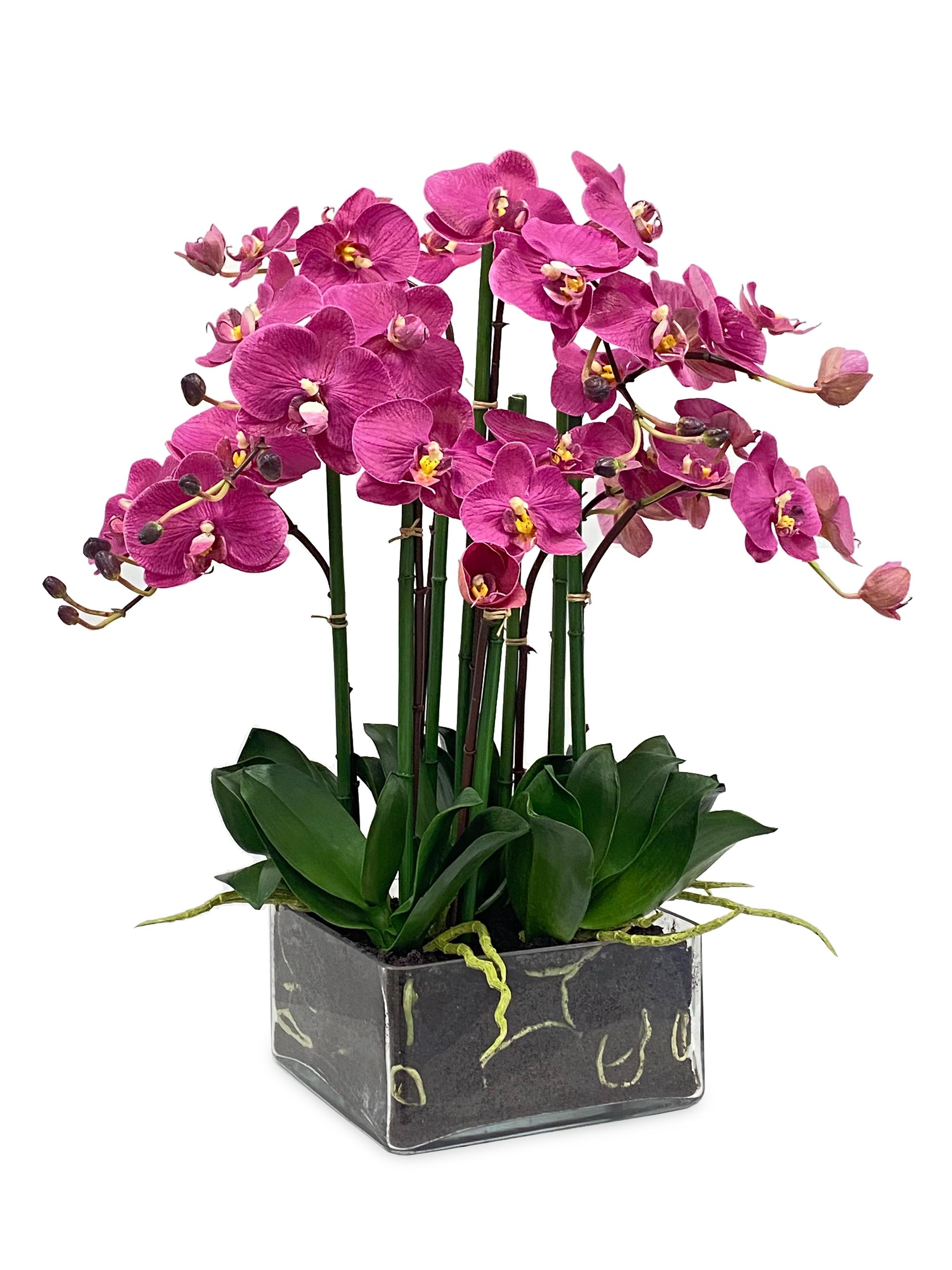 Winward Home Faux Floral Phalaenopsis in Square Vase - Fuchsia