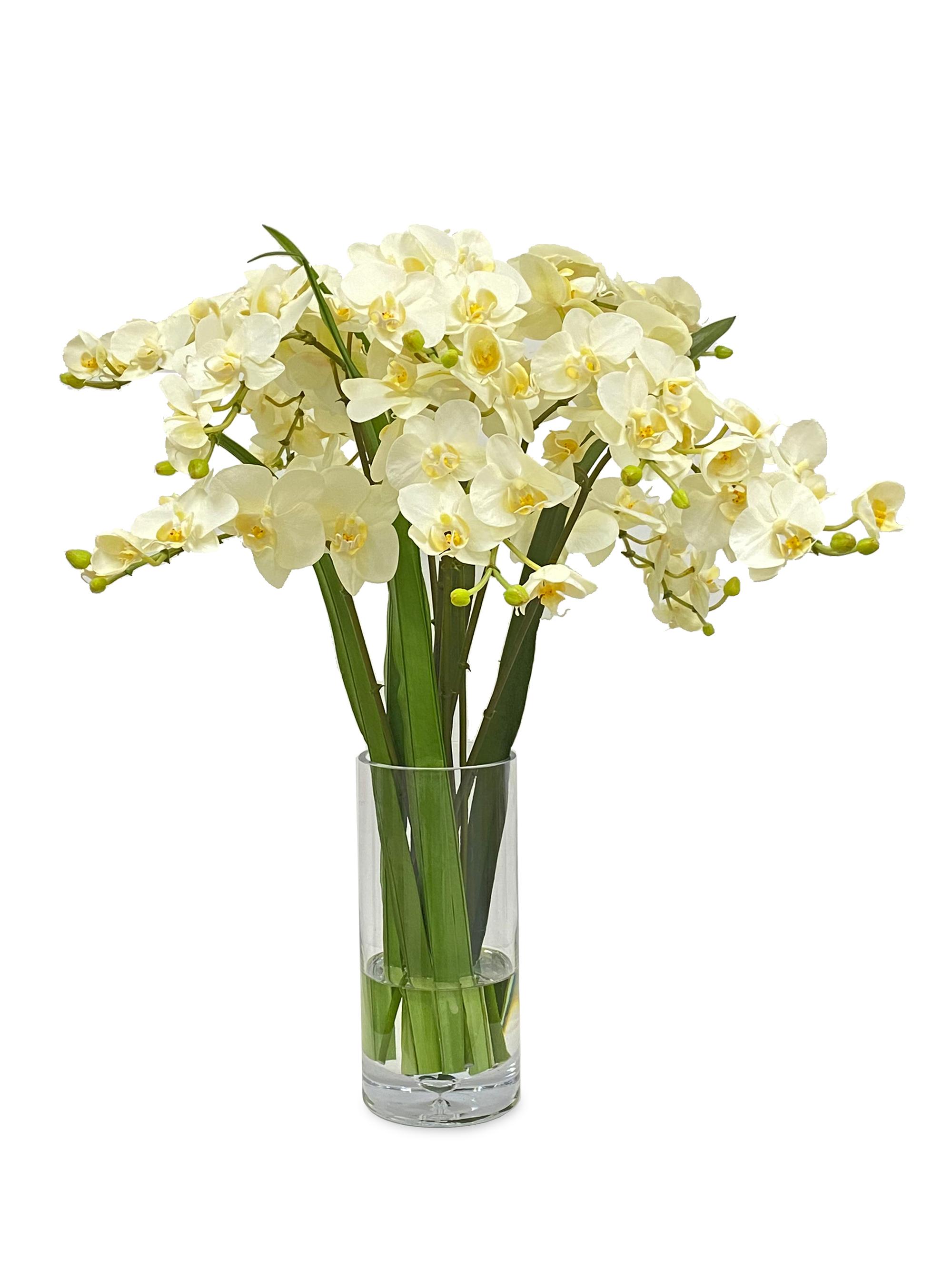 Winward Home Faux Phalaenopsis Floral Arrangement - White