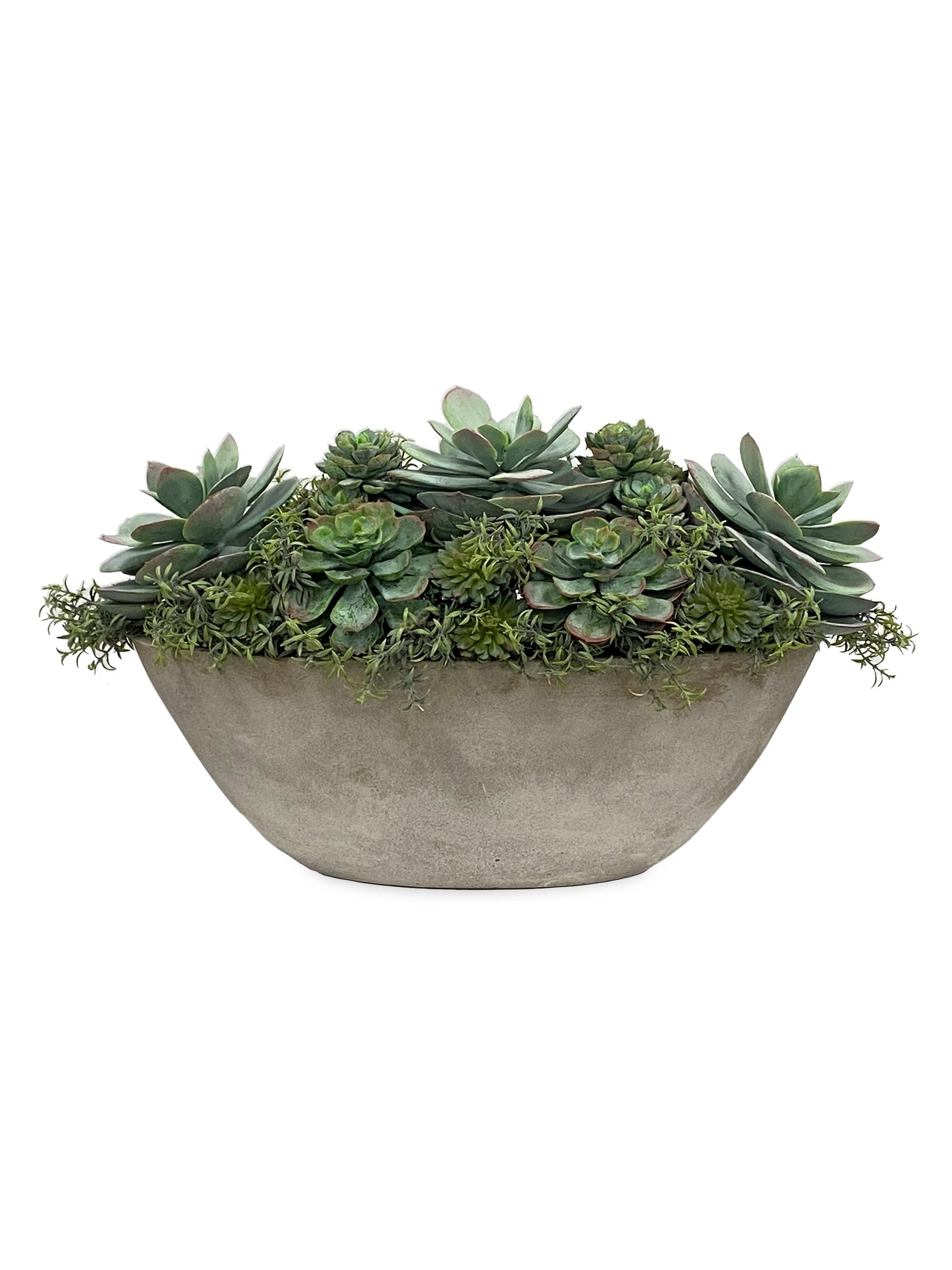 Faux Succulent Oval Planter