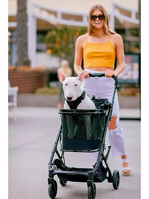 gucci dog stroller
