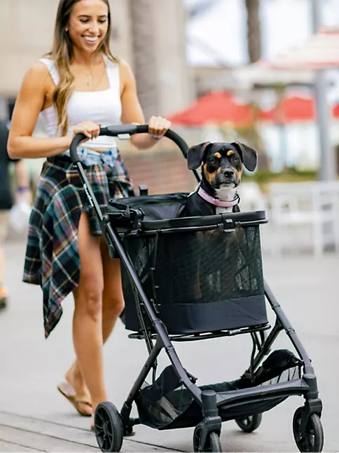 Luxury Monogram First Class Sporty Dog Stroller- Yellow