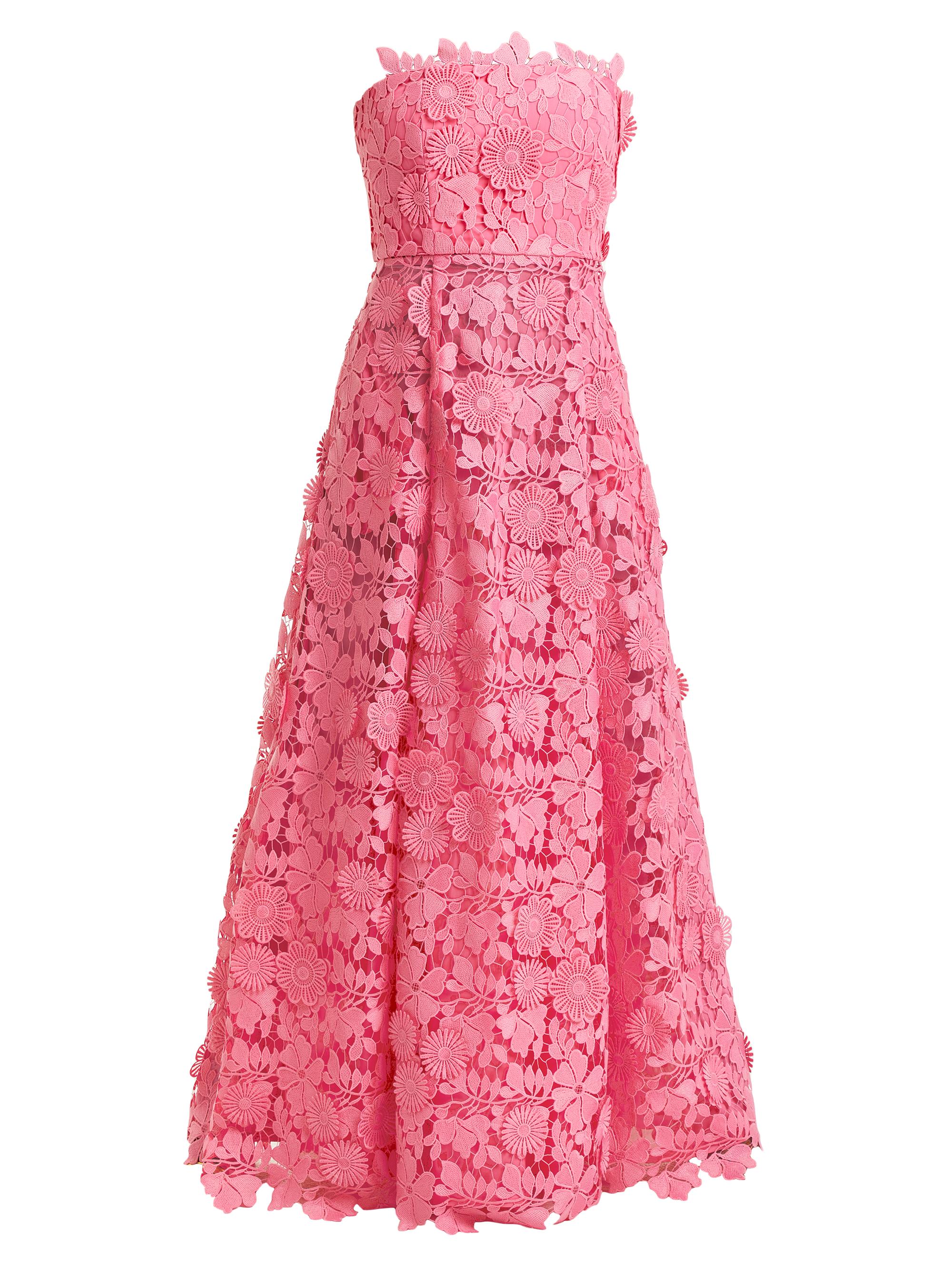 Mestiza New York Women's Cataleya Strapless Lace Gown - Bombay Pink