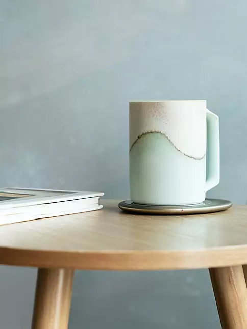 Heat Shield Color Changing Mug – everydayastronaut