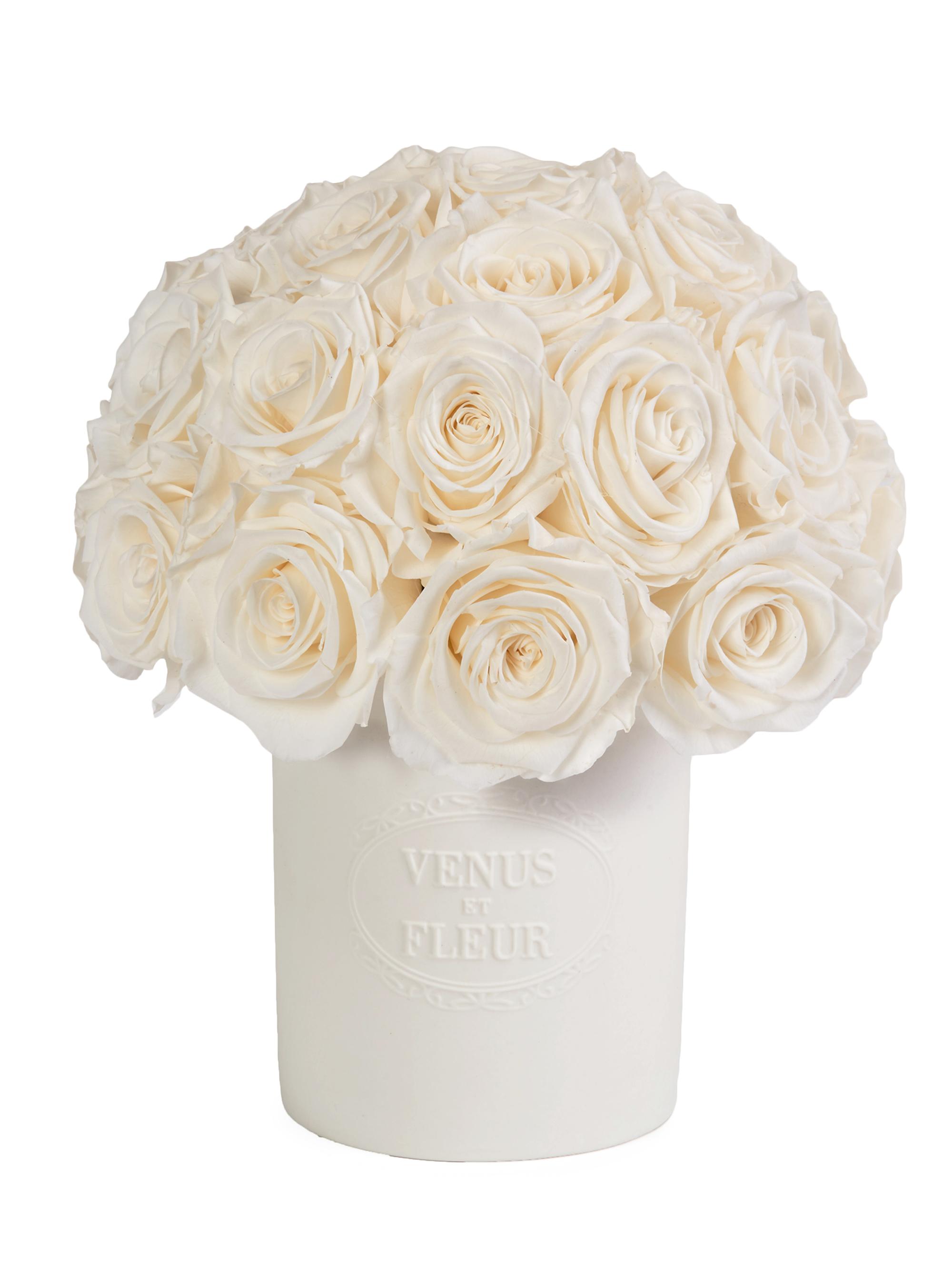 Venus et Fleur Fleura Eternity Rose Porcelain Vase - Pure White