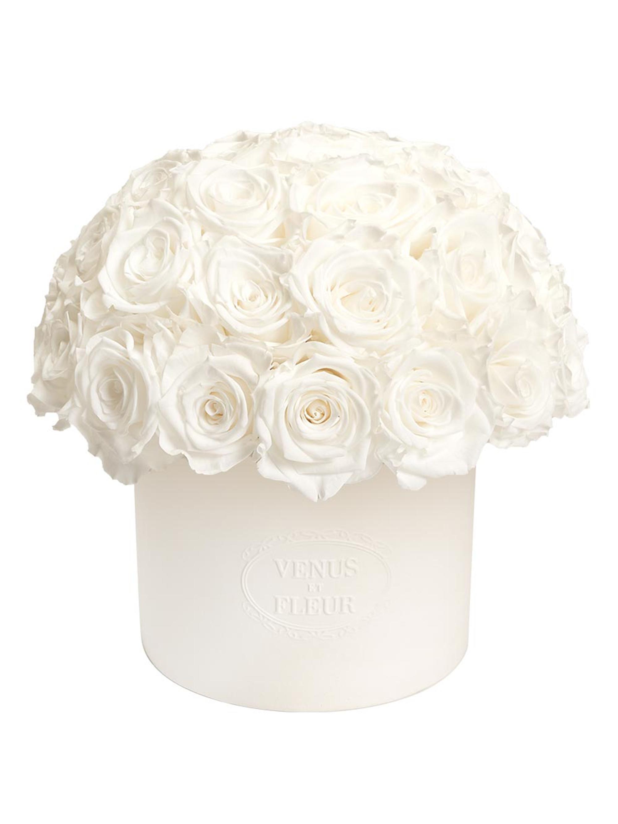 Venus et Fleur Thalia Eternity Rose Porcelain Vase - Pure White