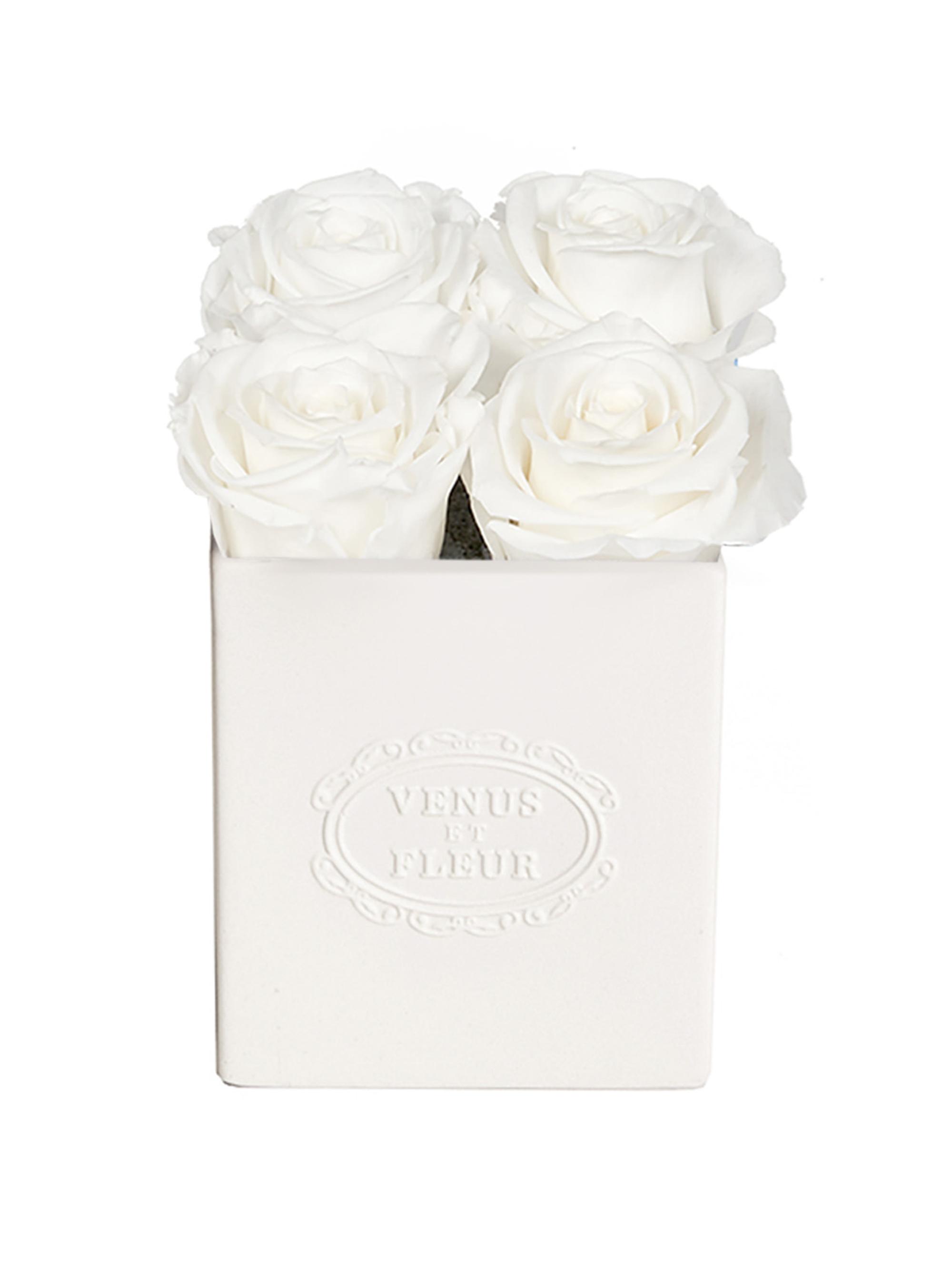 Venus et Fleur Sylvie Eternity Rose Porcelain Vase - Pure White