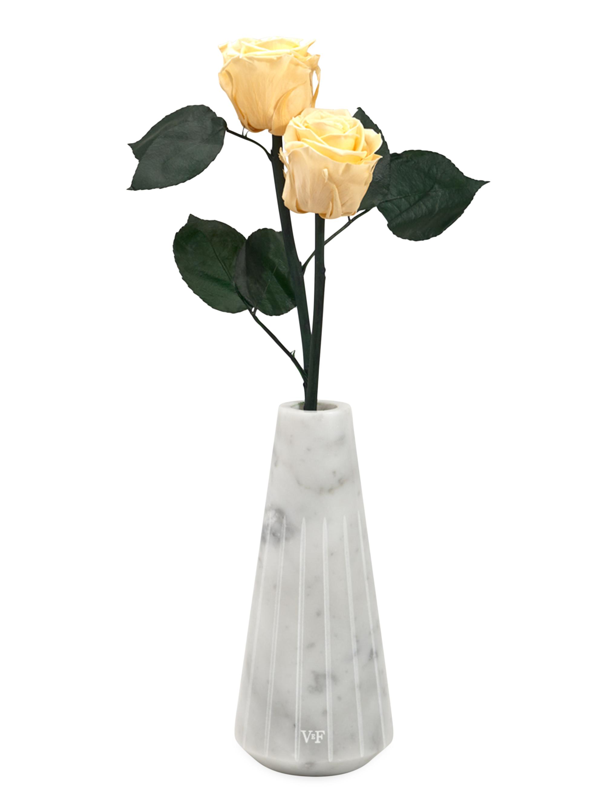 Venus et Fleur Ela Eternity Rose Marble Vase - Champagne