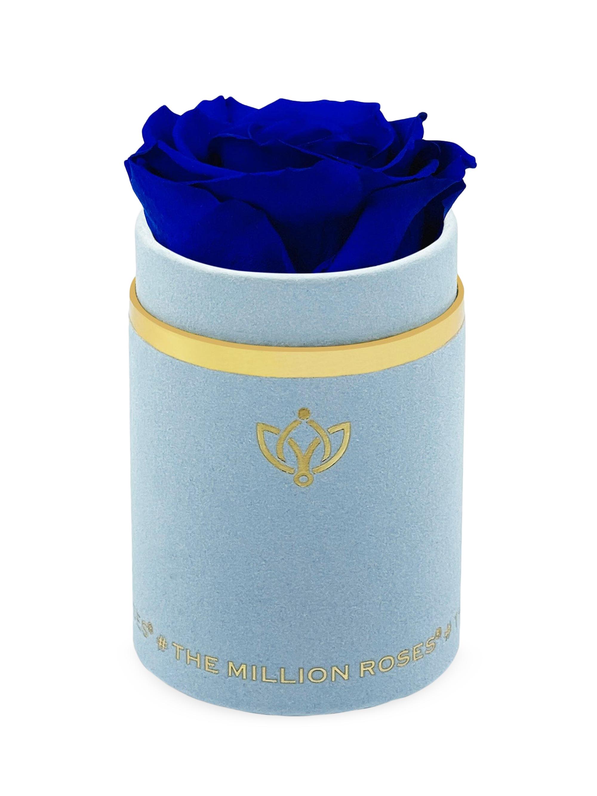 The Million Roses Single Rose in Suede Box - Royal Blue