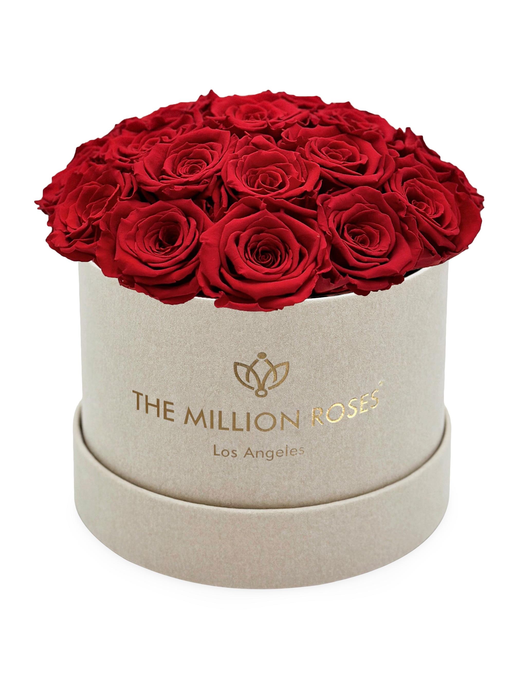 The Million Roses Classic Roses In Suede Superdome Box - Red